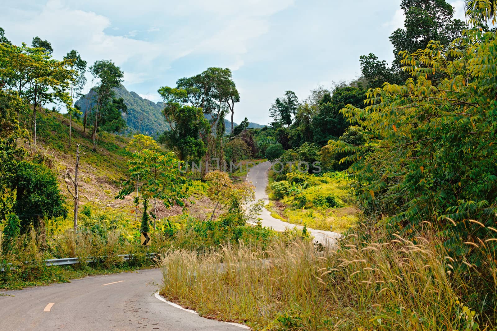 asphalt highway in jungle, Koh Lanta Noi, Thailand