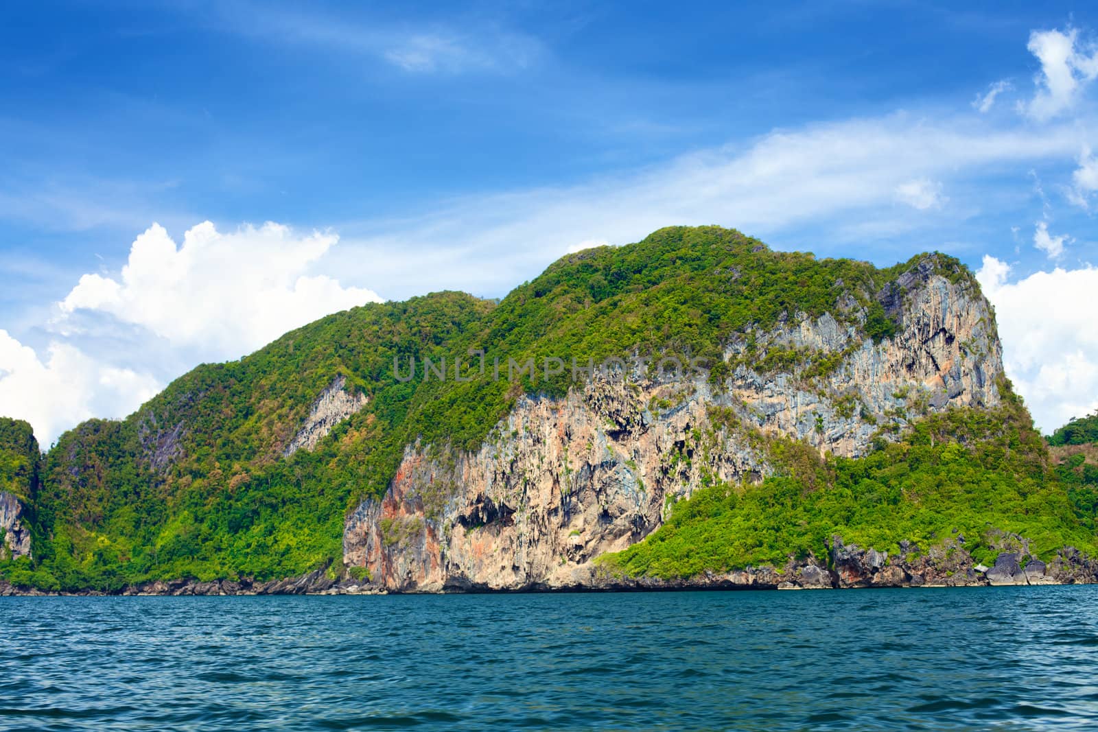 tall cliff with trees at Andaman Sea, Thailand