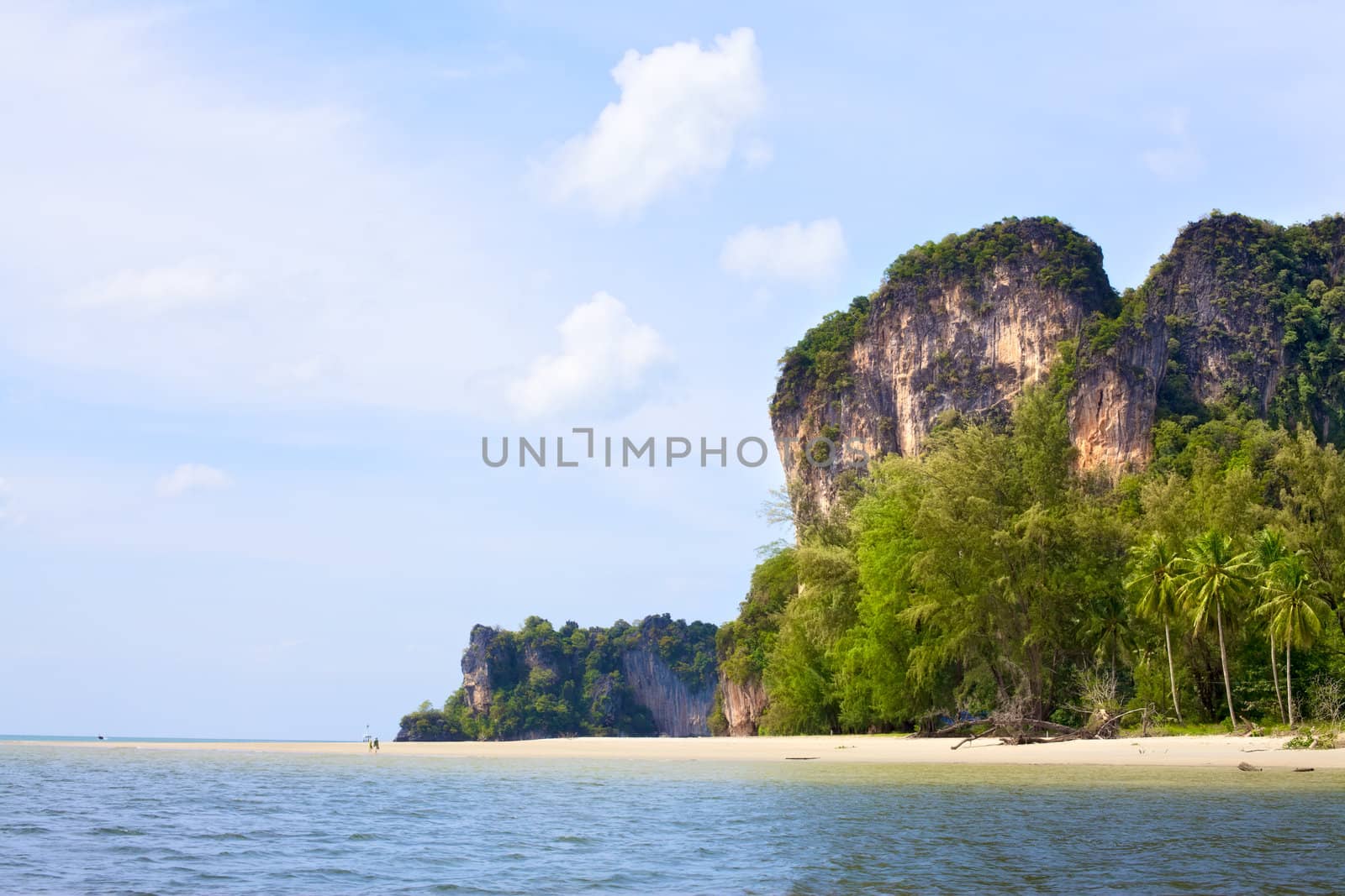 tall cliff with trees at Andaman Sea, Thailand