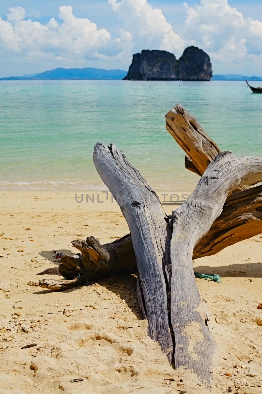 sunny beach, big snag and cliff on horizon