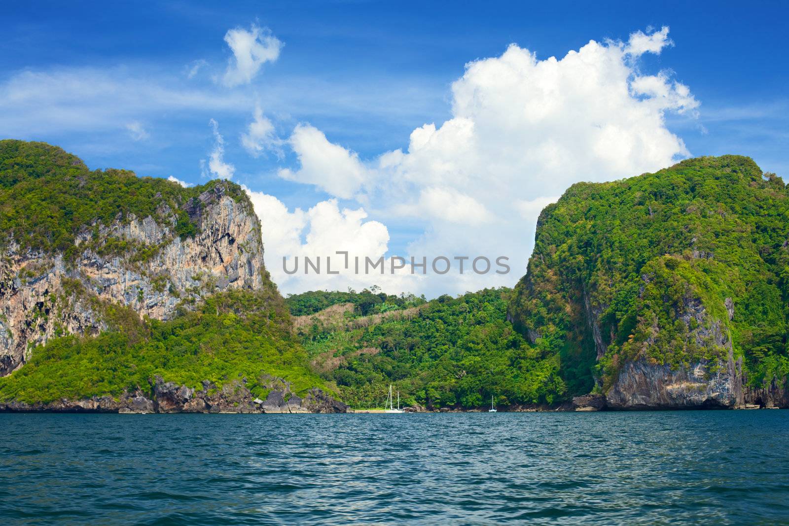 tall cliff with trees at Andaman Sea, Thailand