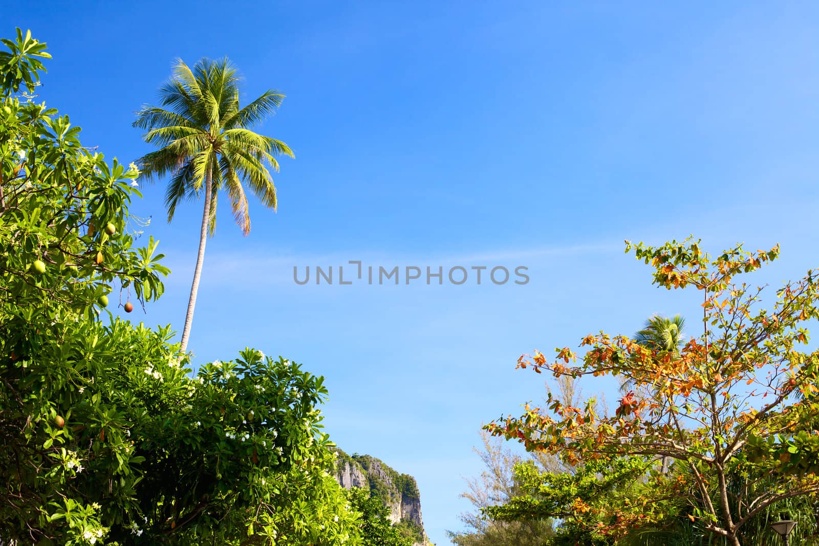 Thailand Nature by petr_malyshev