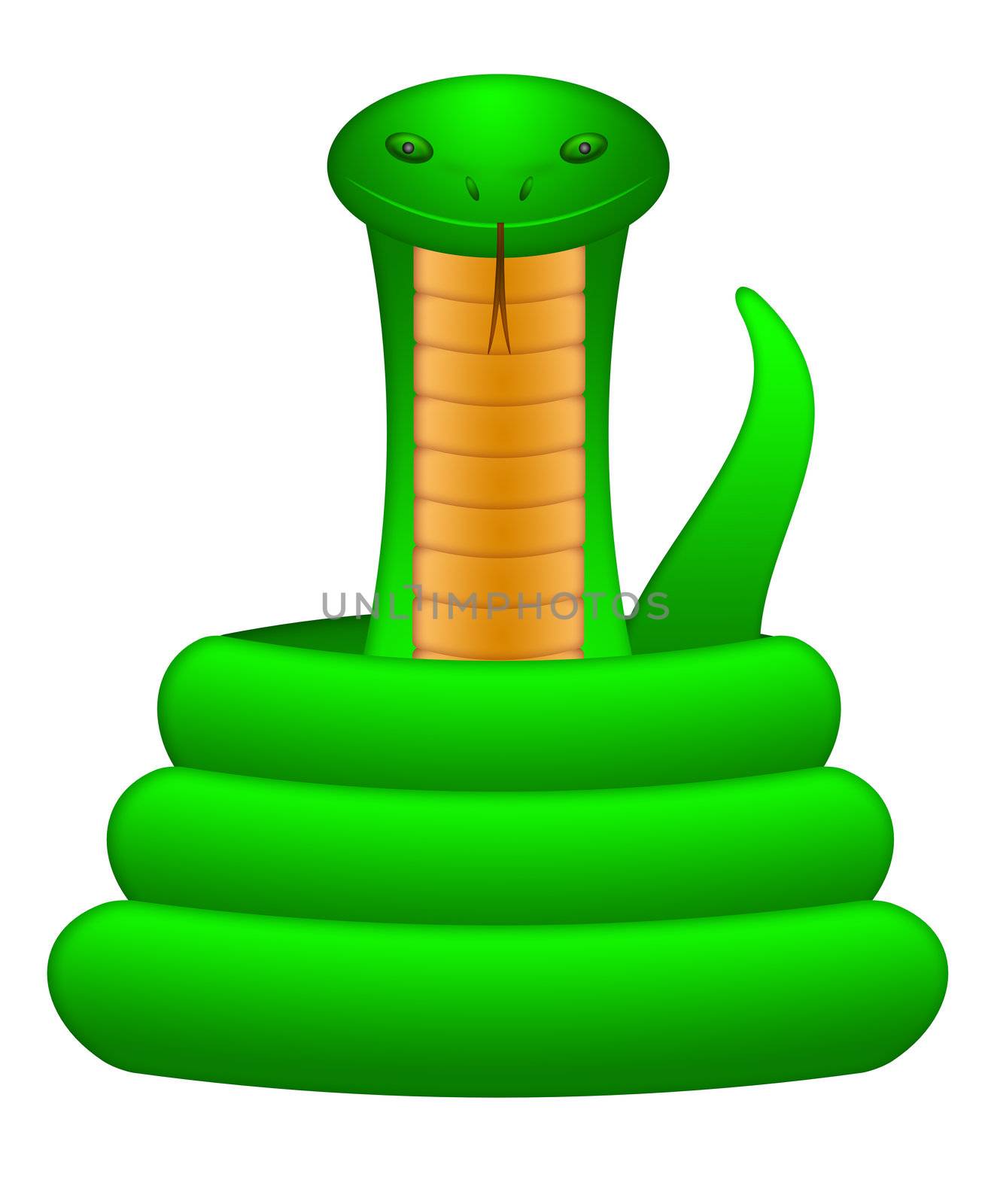 Green Snake Coil Up Illustration by jpldesigns