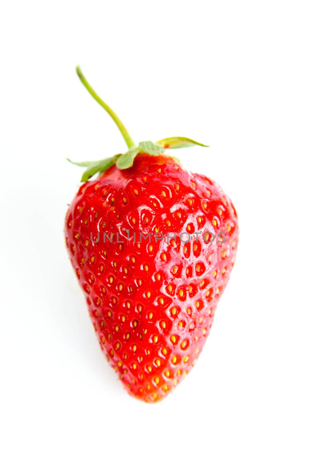 Strawberry by velkol