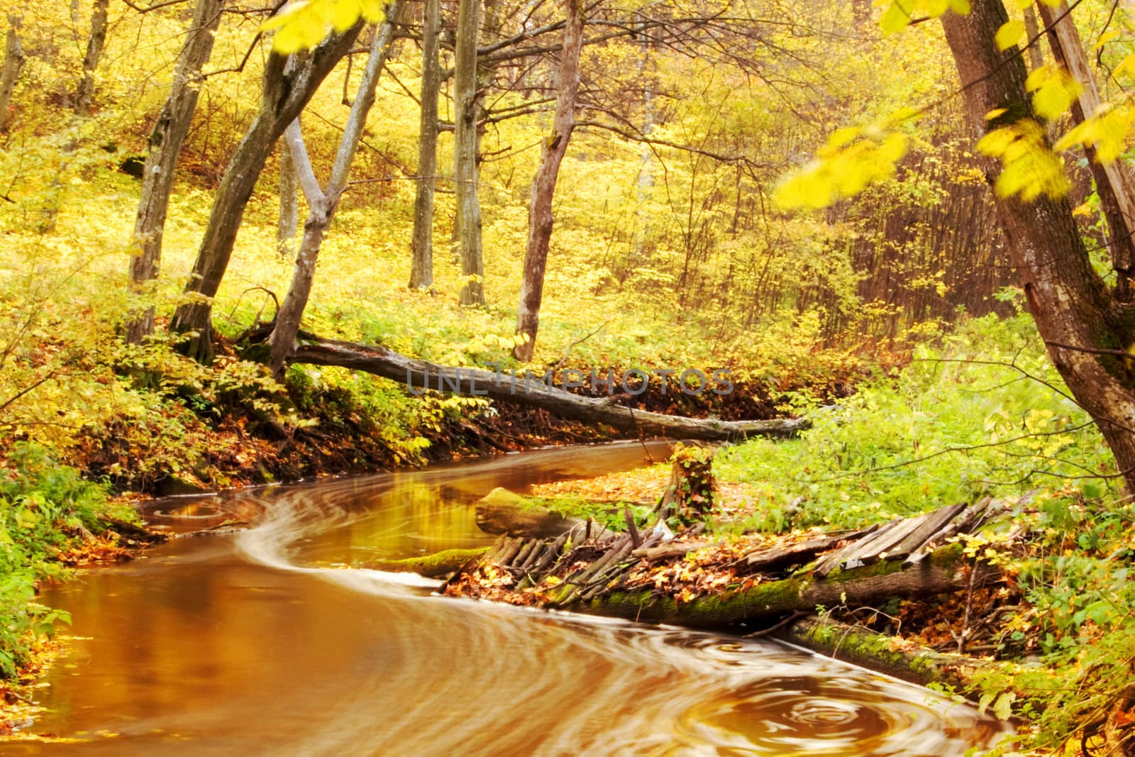 Stock photo: an image of nice autumn landscape