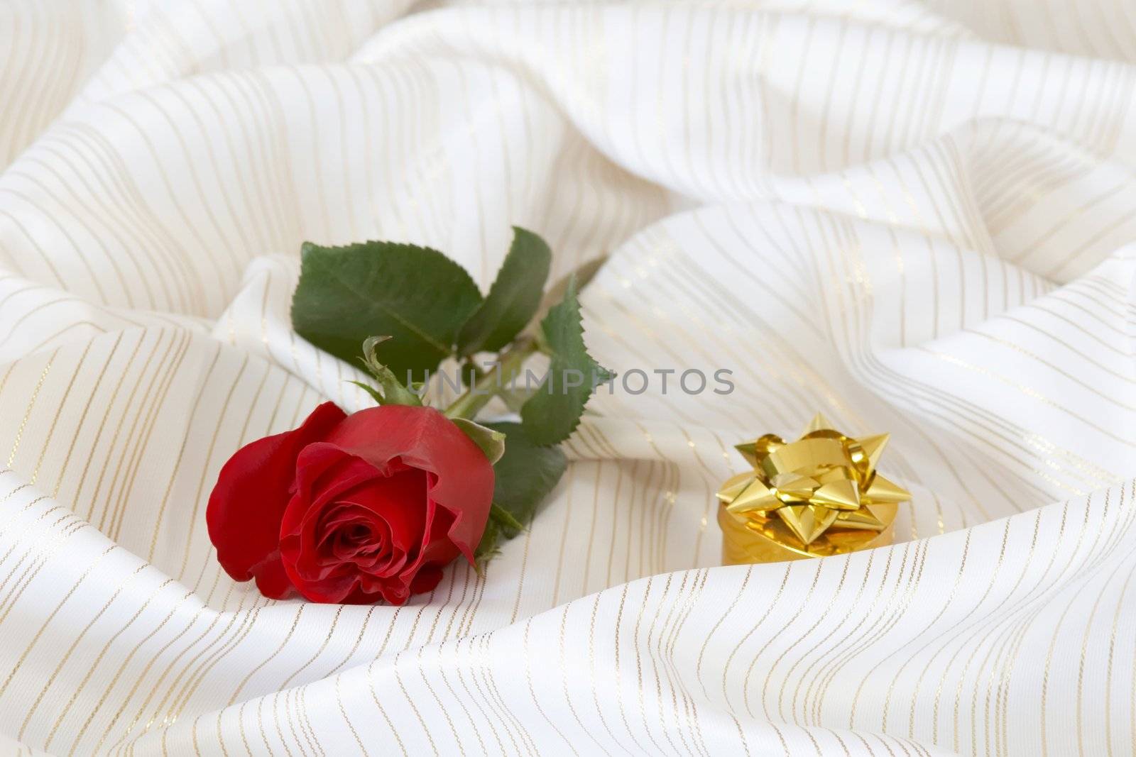 Rose and jewelry on background of fabrics