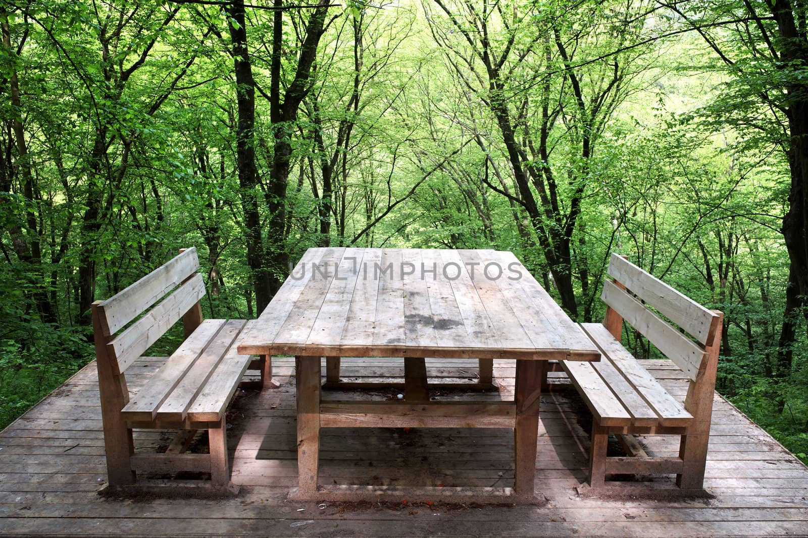 Wooden table and two benches on a background of green wood