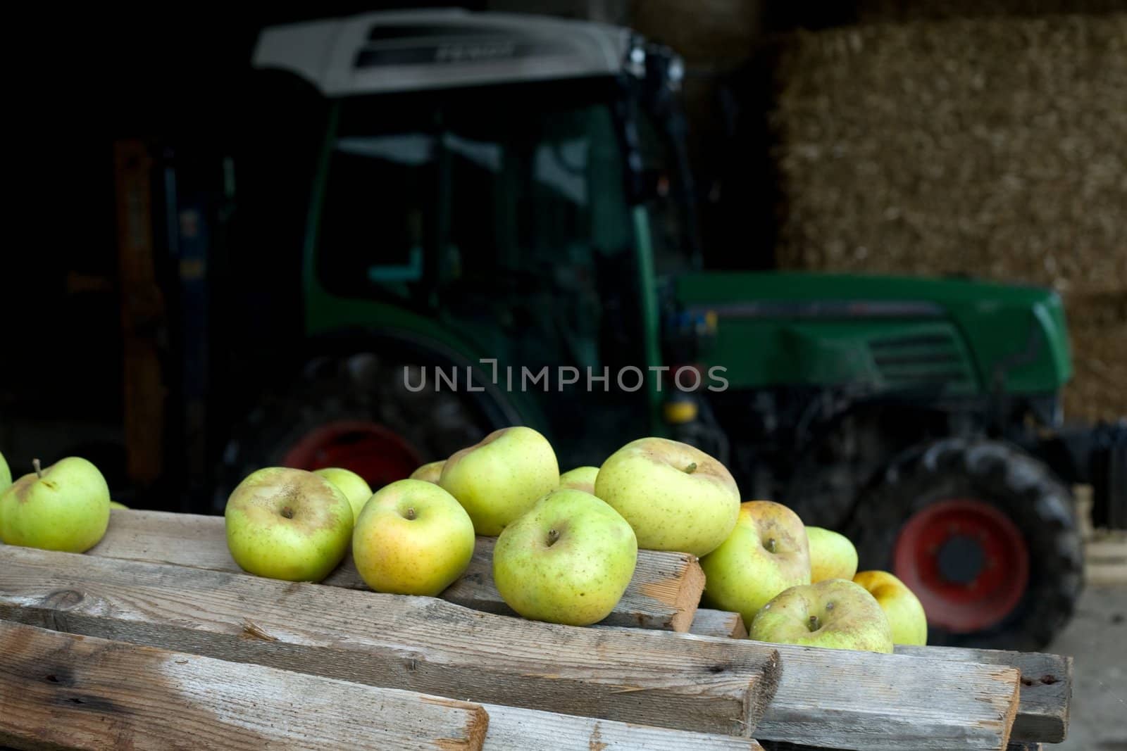 An image of green apples on planks