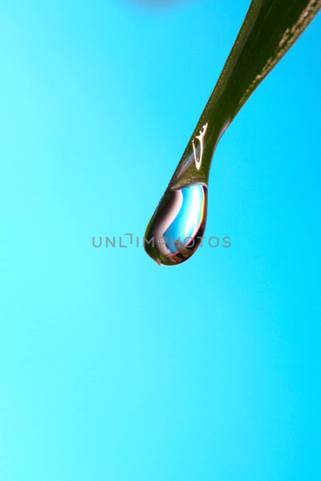 An image of part of green leaf with water drop