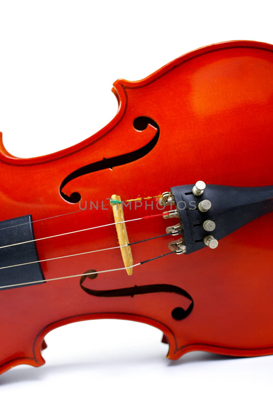 Close-up of a classic violin isolated on white background 