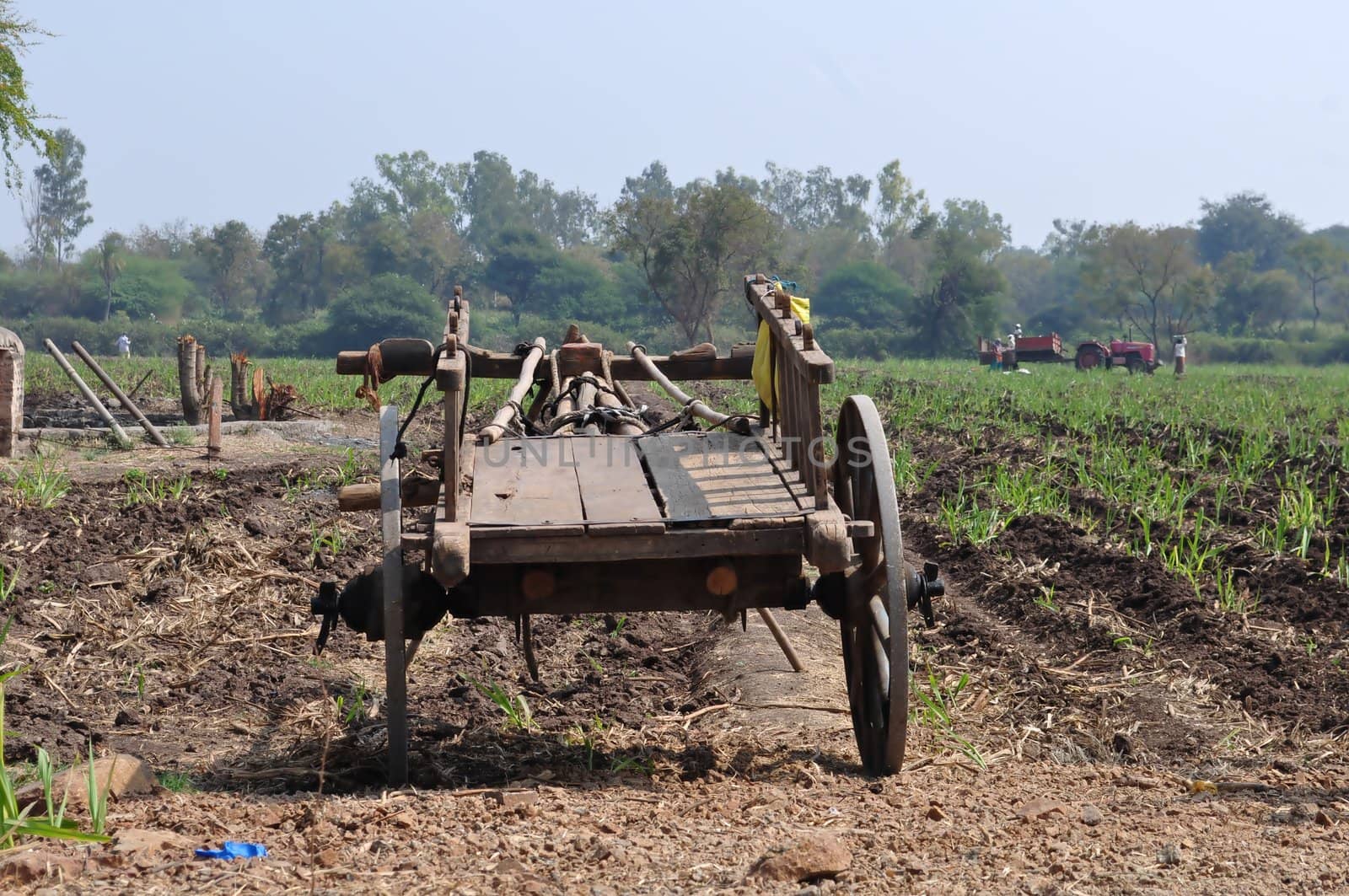 long shot of bulk cart in a field