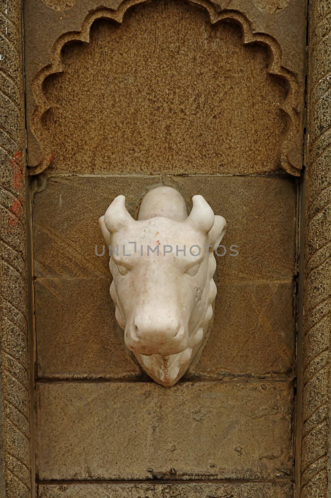 Nandi marble face  by snehdep