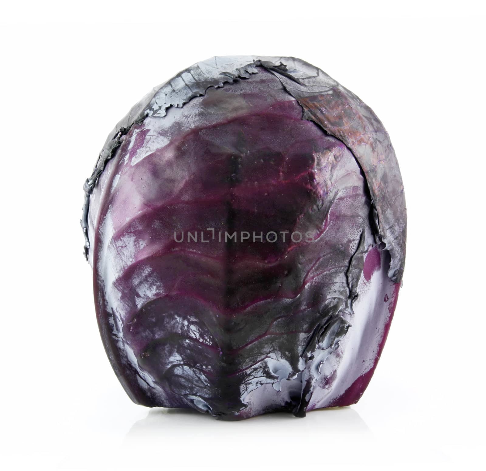 Red Ripe Cabbage Isolated on White by alphacell