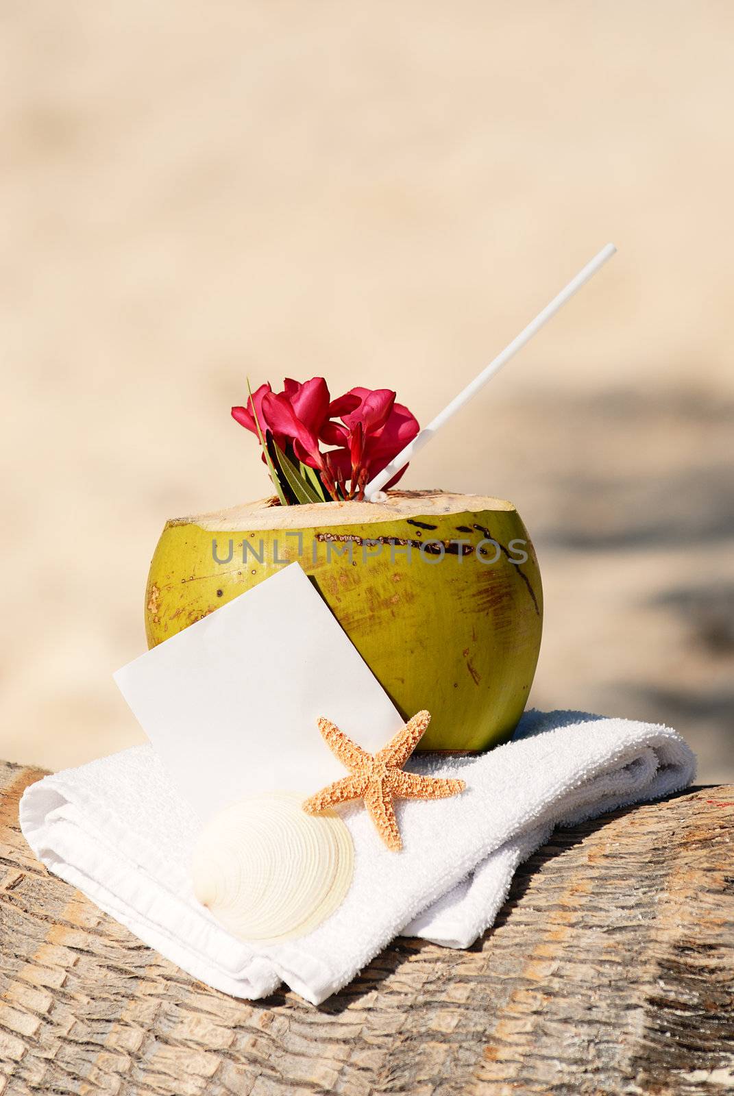 Caribbean paradise beach coconuts cocktail by ventdusud