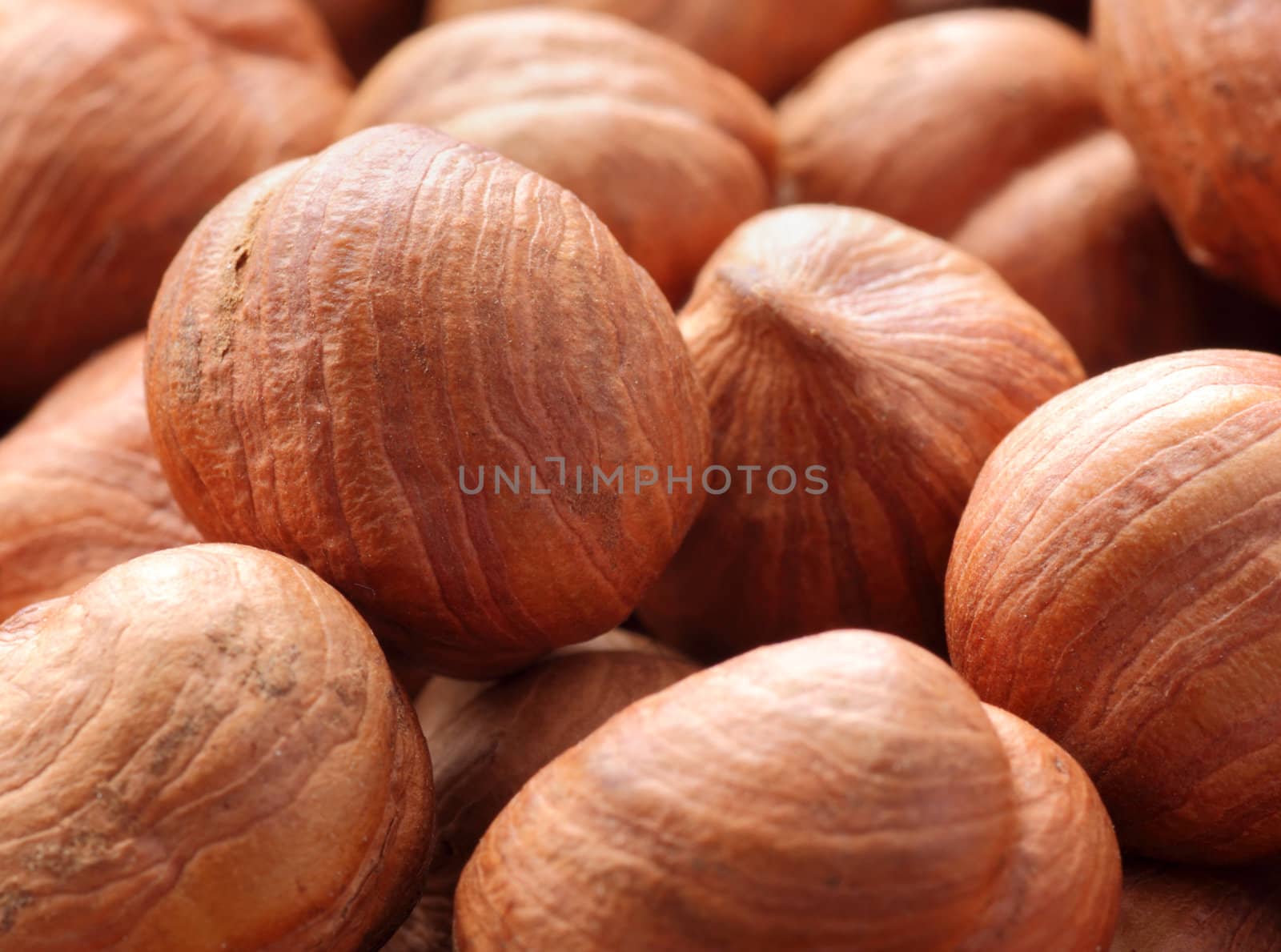 close up of hazel nuts