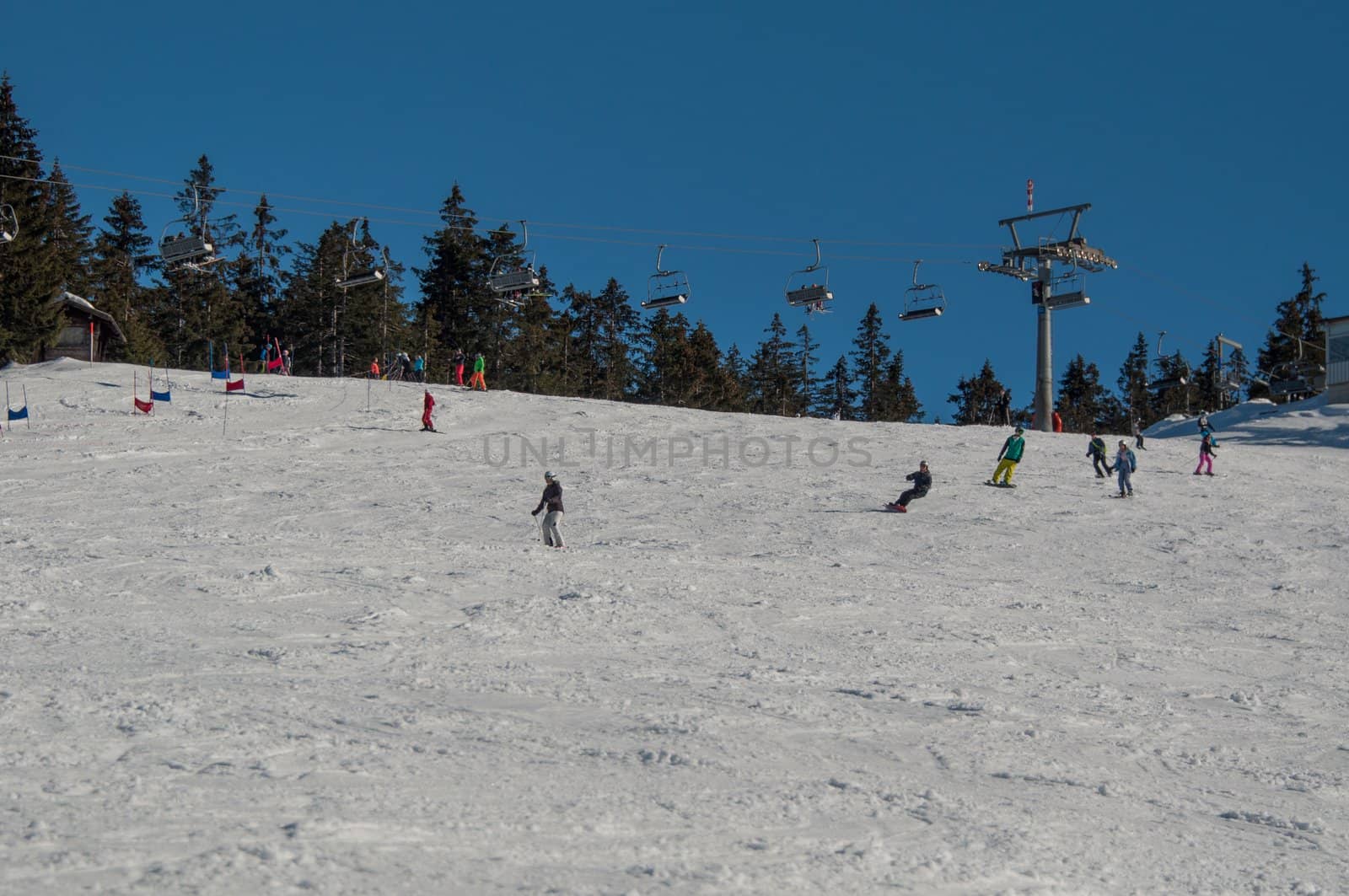 Skier and snowboarder on skiing slope on sunny day at Montafon, Austria