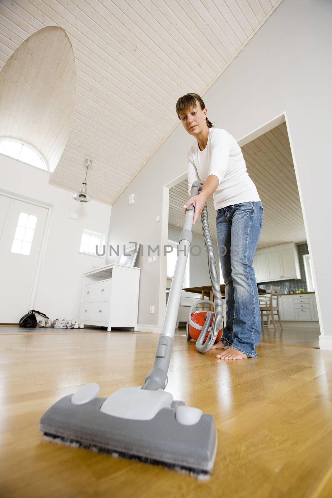 Vacuum Cleaning by gemenacom