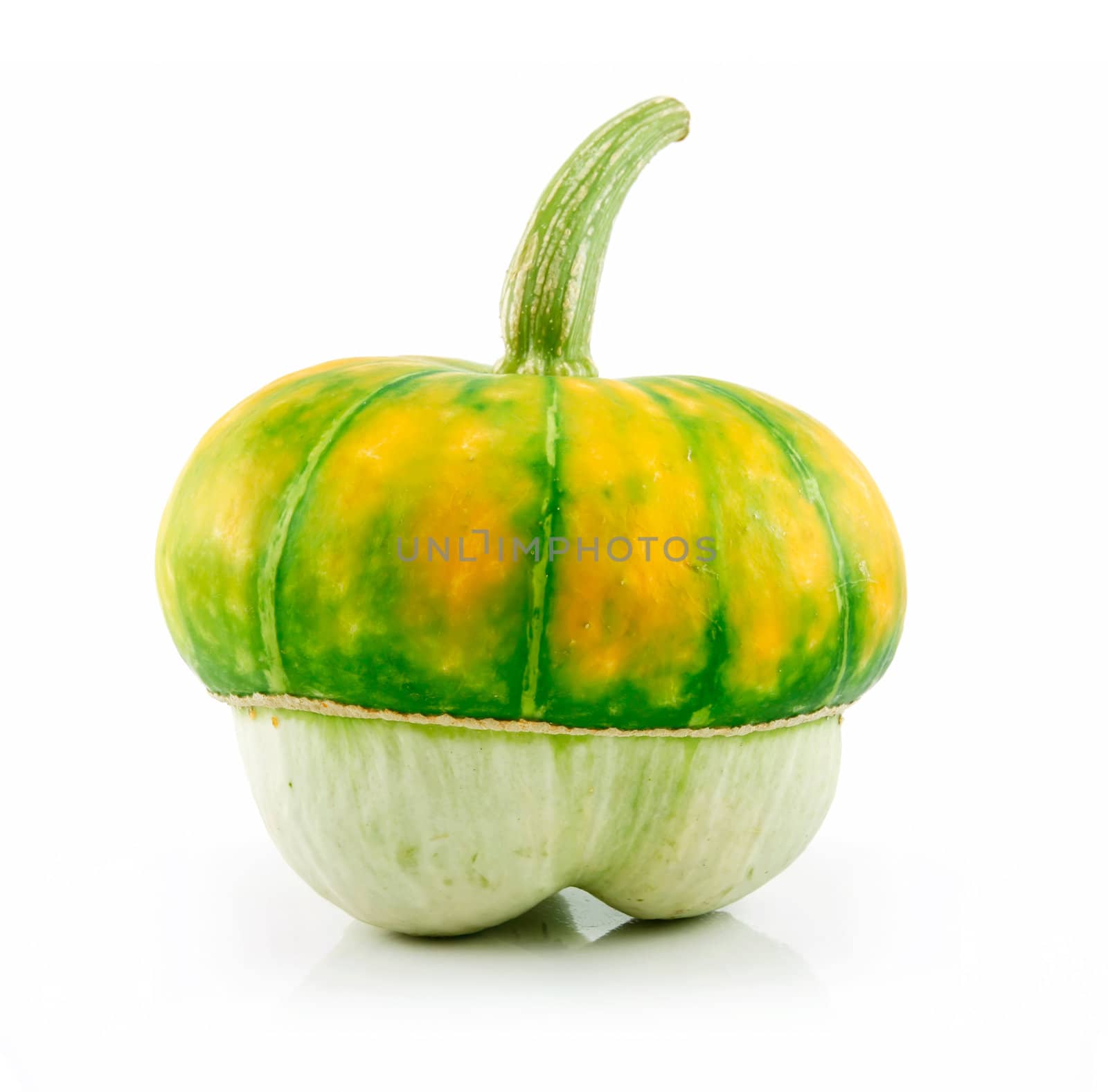 Ripe Gourds Vegetable Hybrid Isolated on White Background  