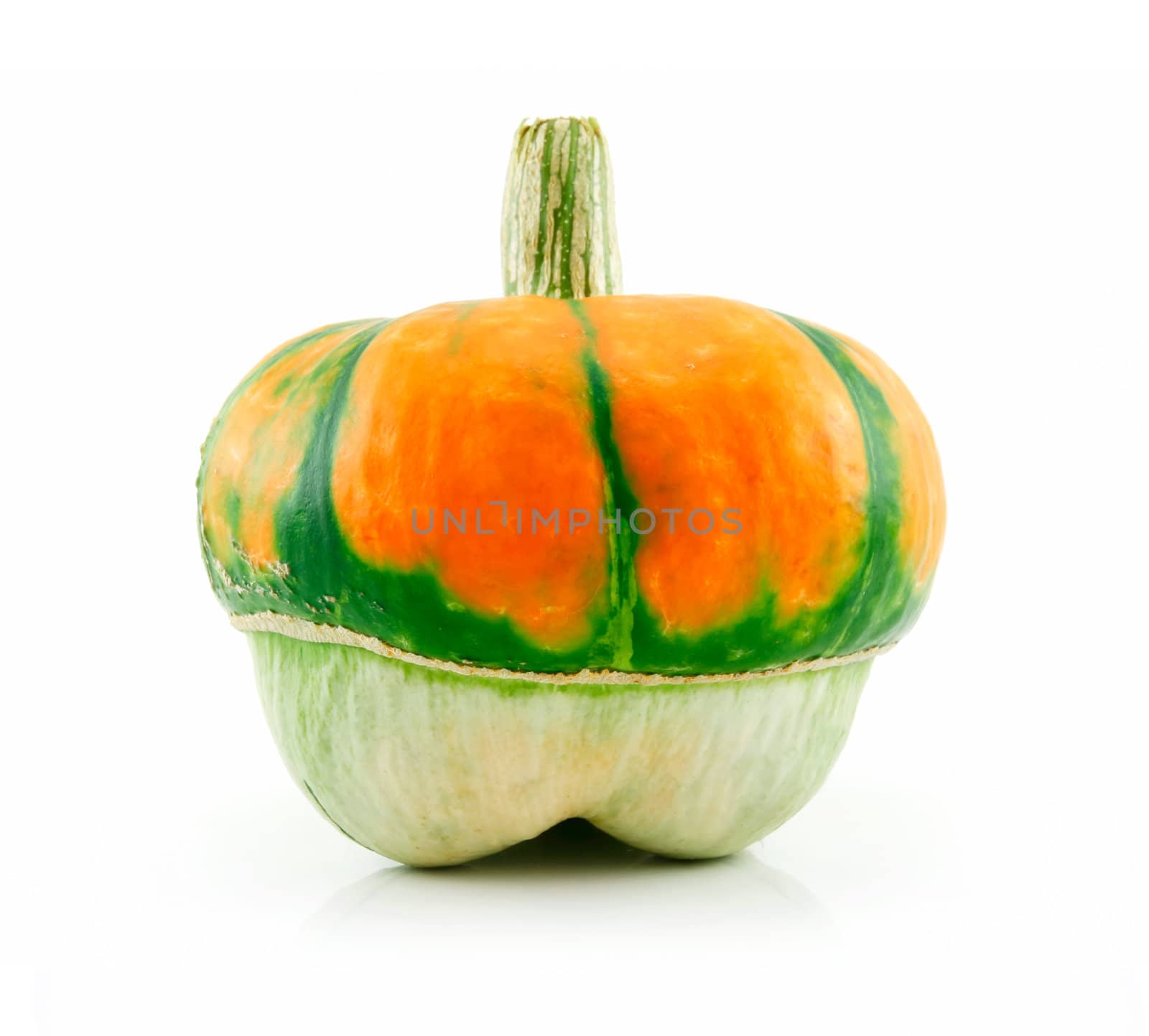 Ripe Gourds Vegetable Hybrid Isolated on White by alphacell