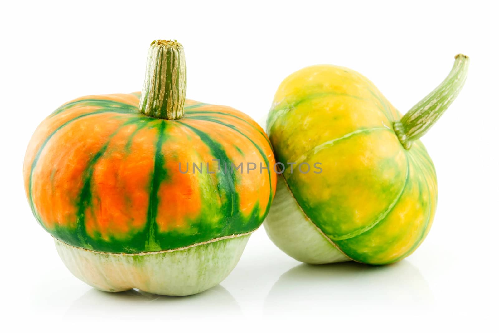 Ripe Gourds Vegetable Hybrid Isolated on White by alphacell