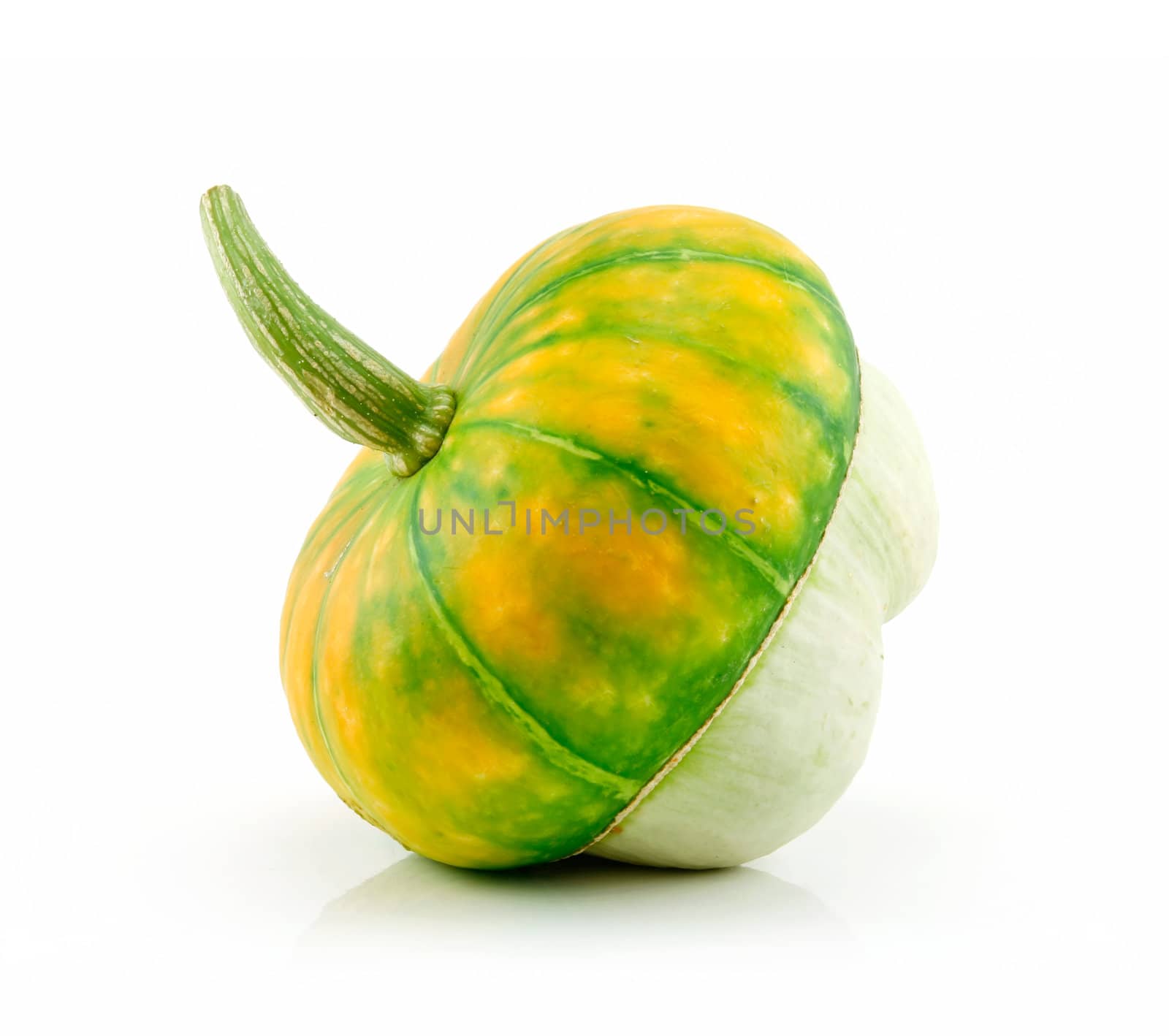 Ripe Gourds Vegetable Hybrid Isolated on White by alphacell