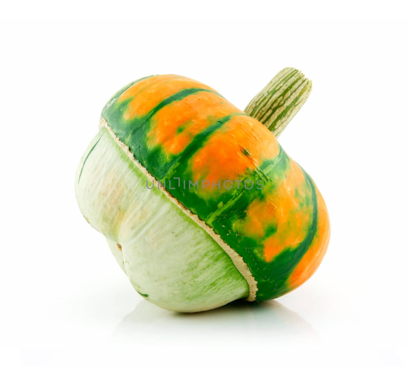Ripe Gourds Vegetable Hybrid Isolated on White Background