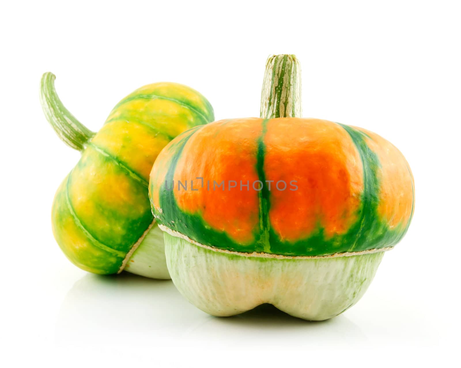 Ripe Gourds Vegetable Hybrid Isolated on White Background  