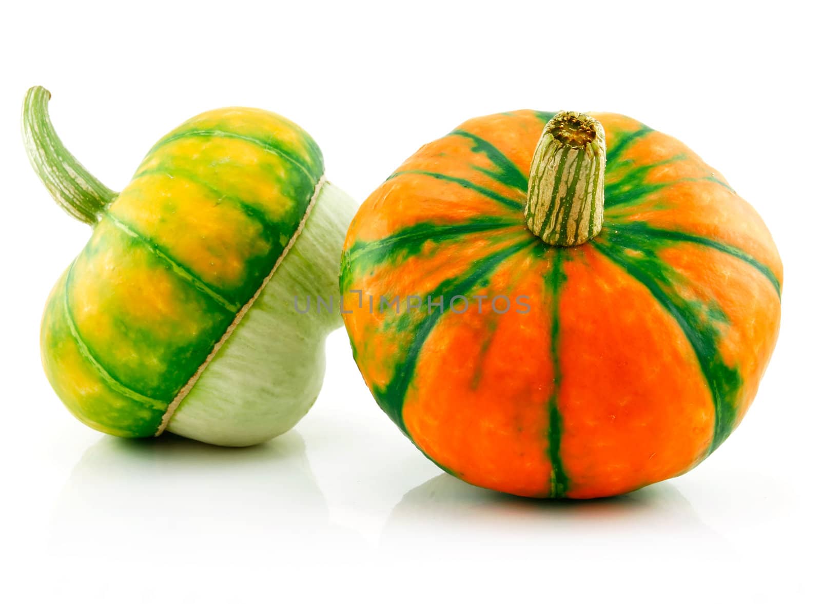 Ripe Gourds Vegetable Hybrid Isolated on White by alphacell