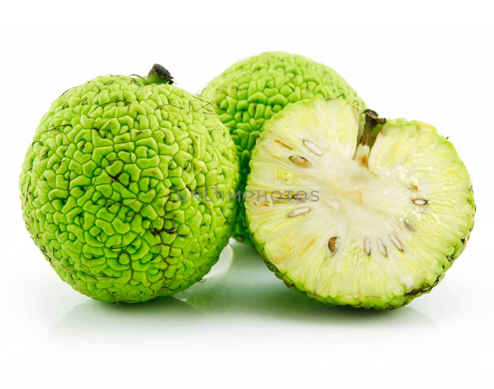 Sliced Osage Oranges (Maclura) Isolated on White Background