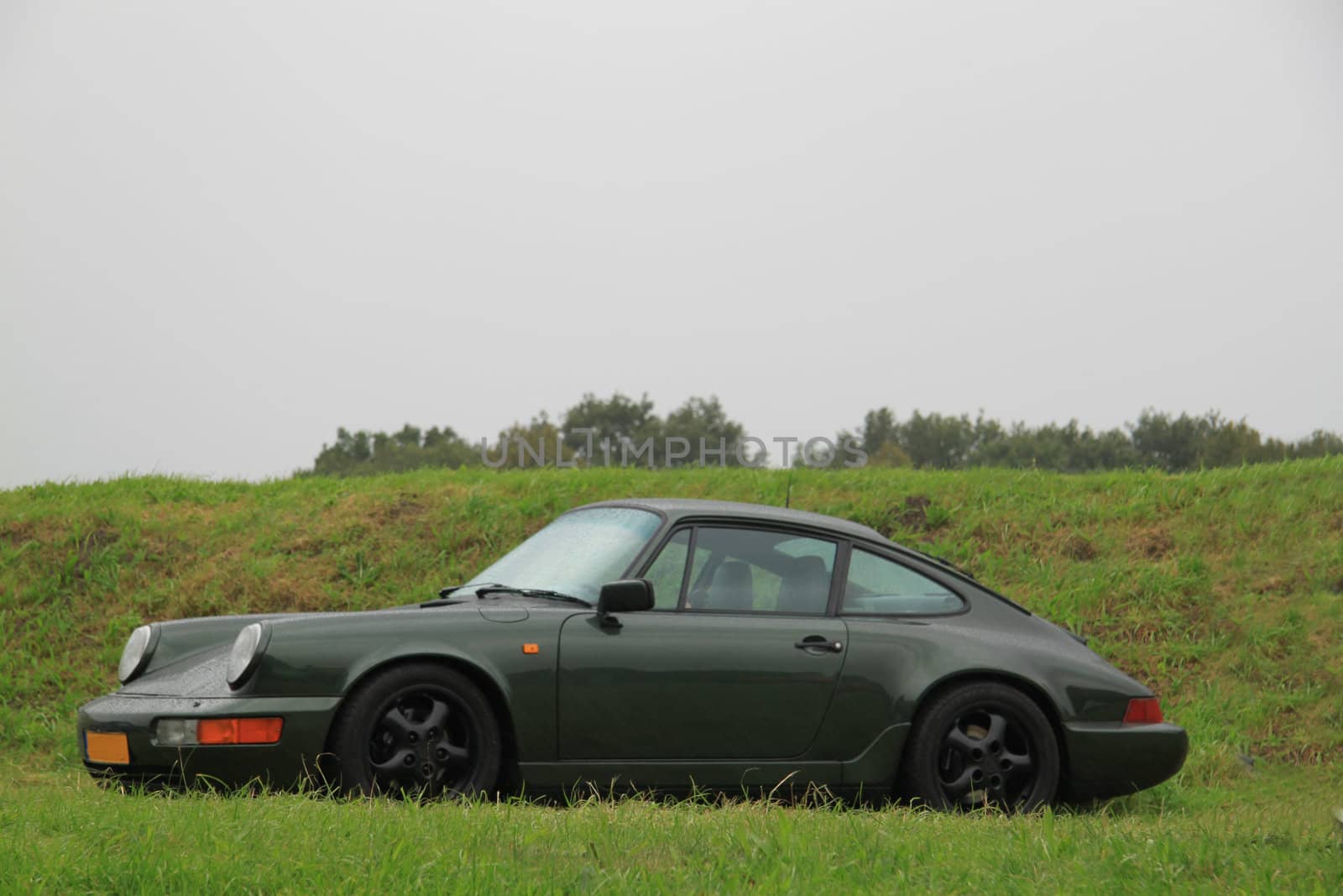 A classic green sportscar parked on the grass