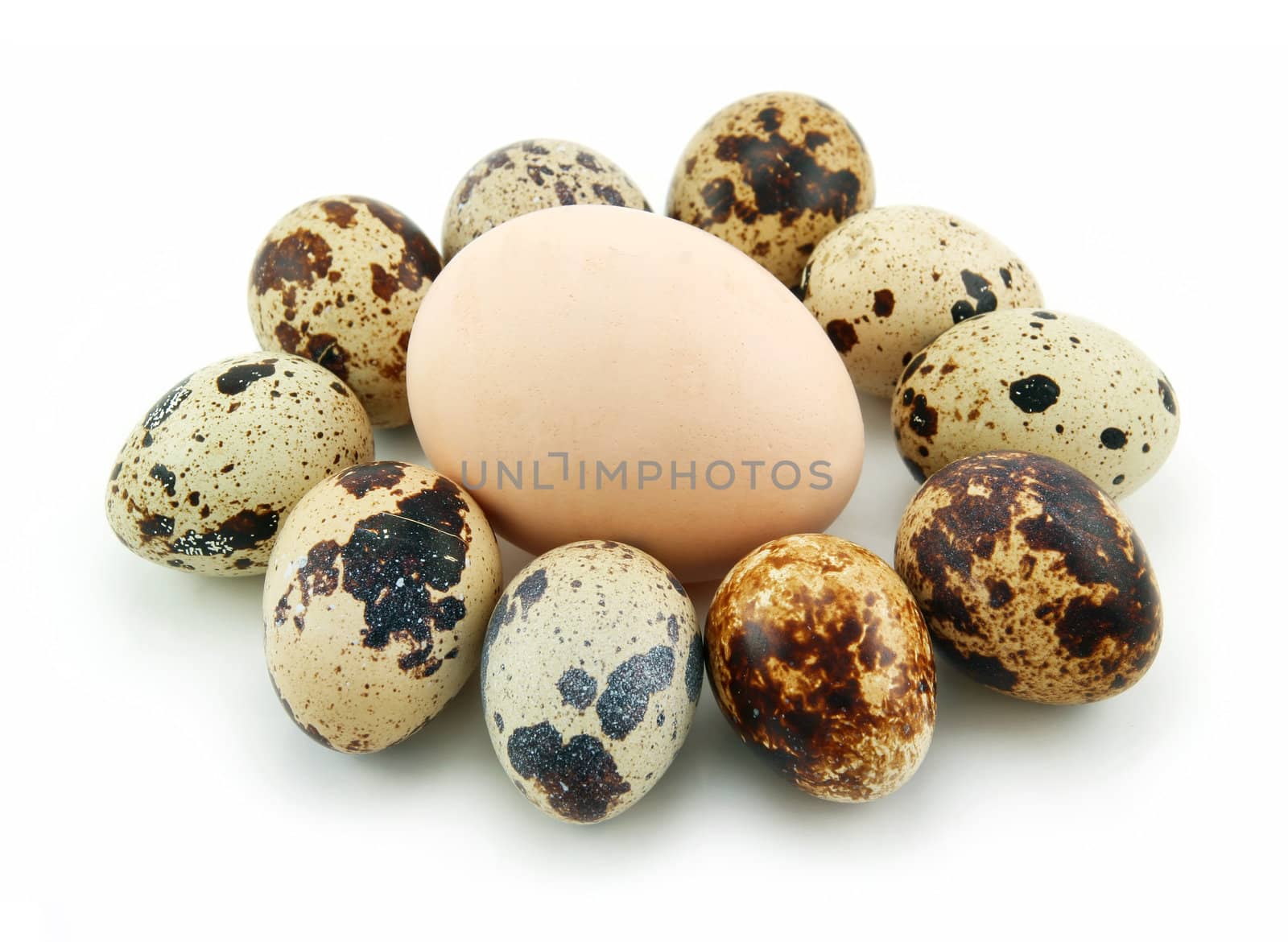 Group of Raw Quail Eggs Isolated on White  by alphacell