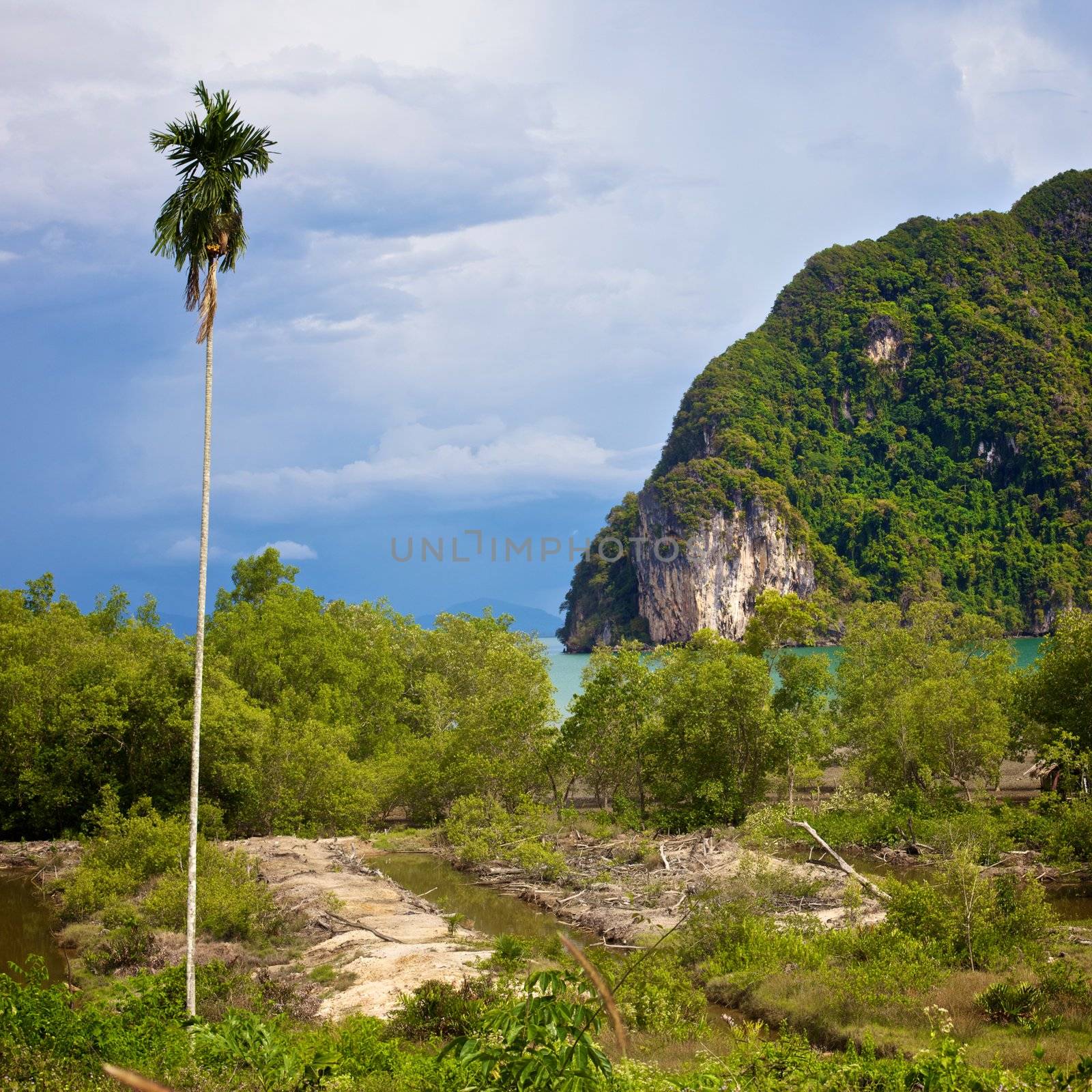 Koh Lanta Noi green landscape, Krabi, Thailand