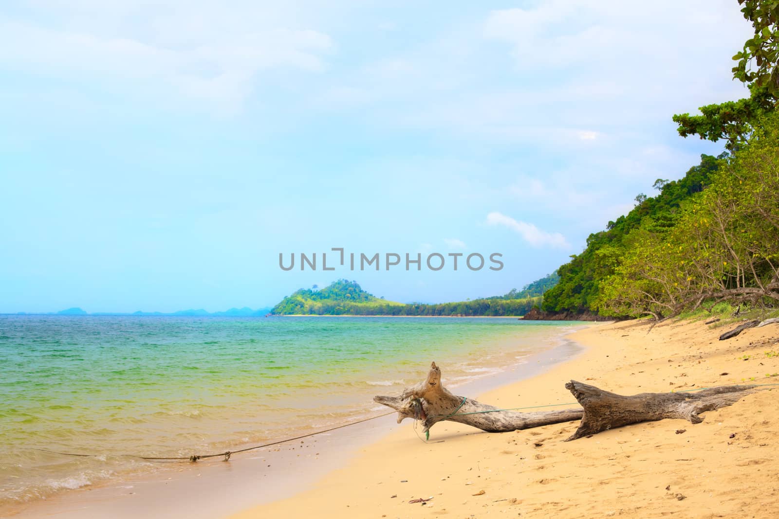 sunny beach, big snag and island on horizon