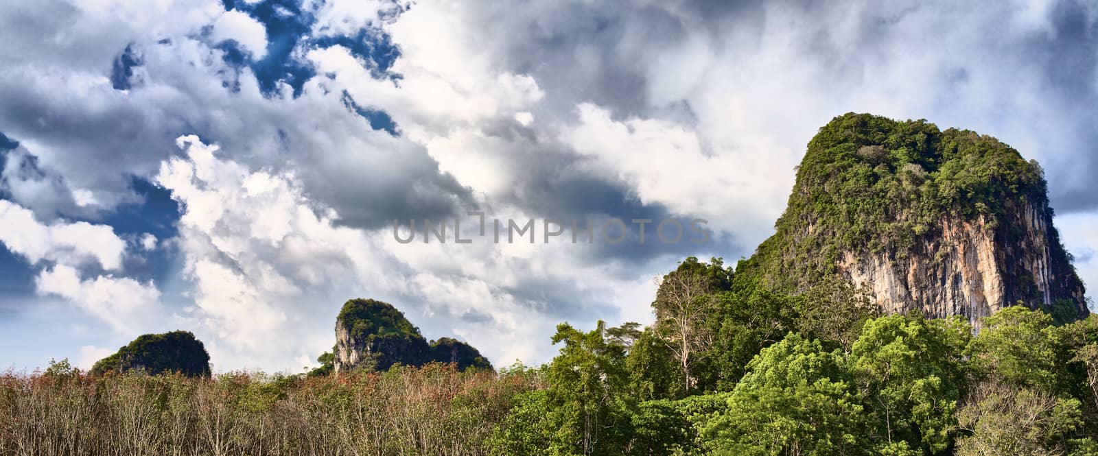 mountains with green trees in Krabi, Thailand