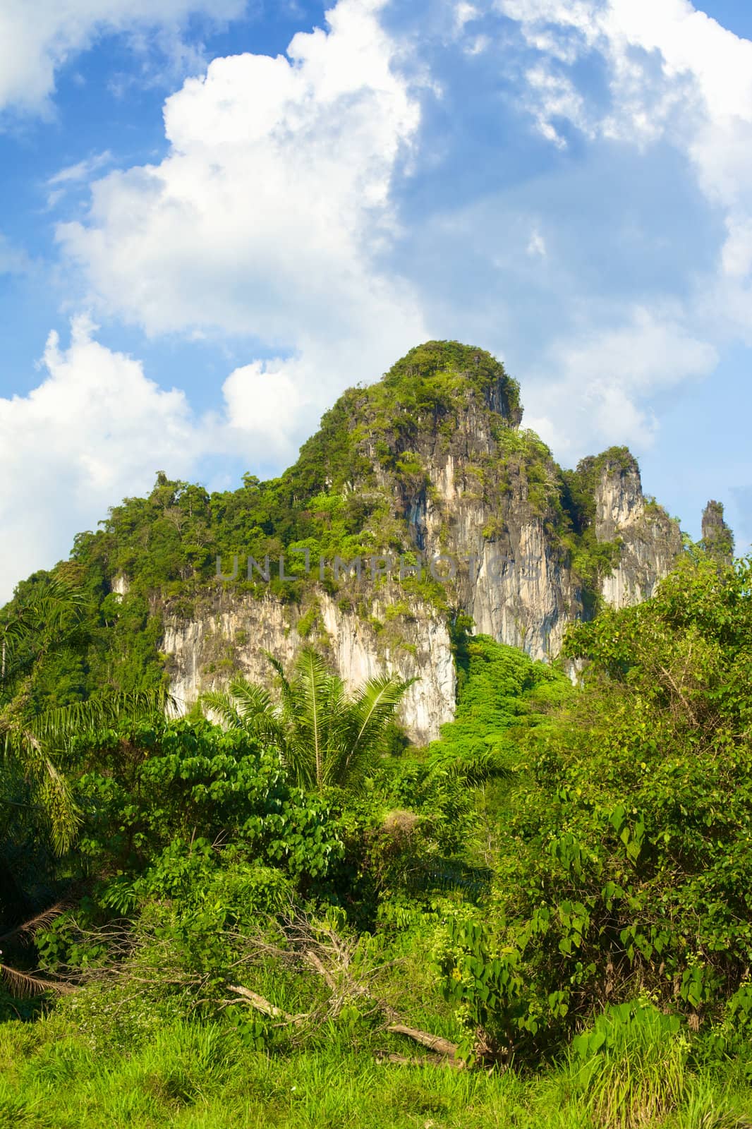 mountains with green trees in Krabi, Thailand