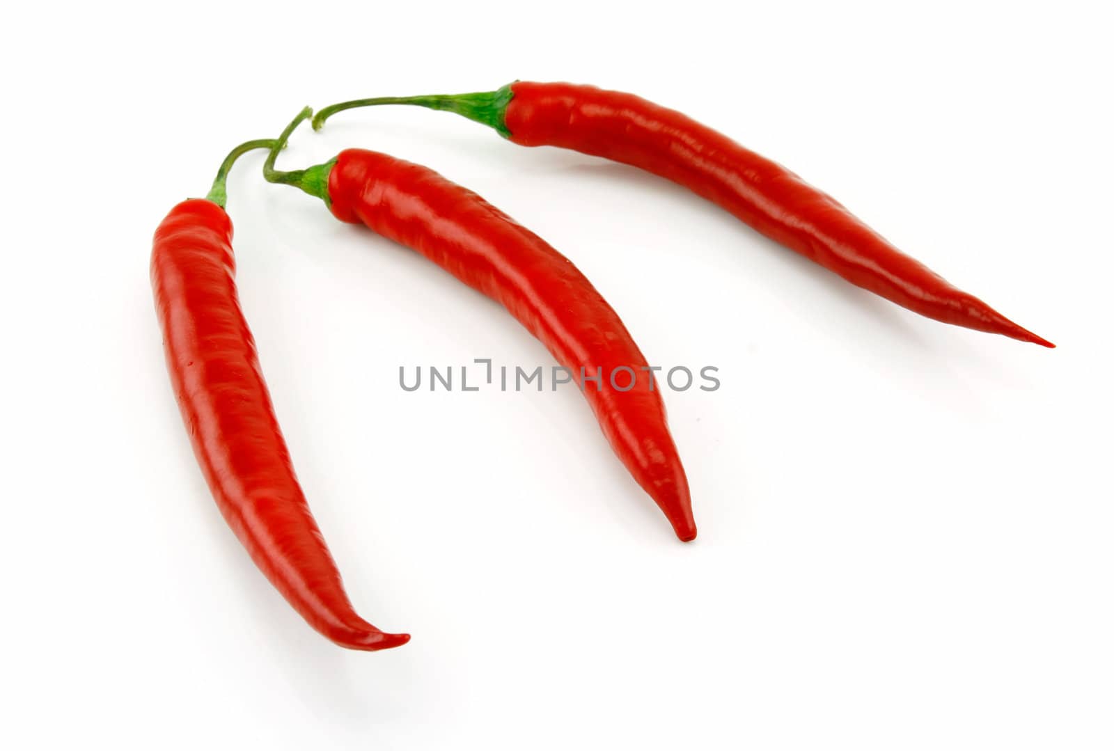 Red Chili Pepper Isolated on White Background