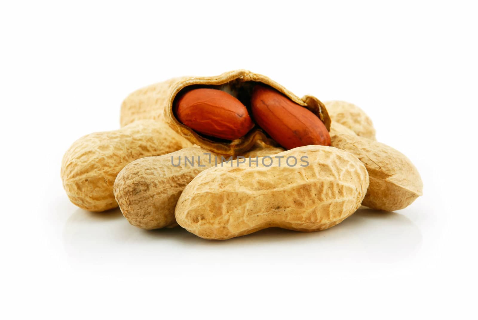 Ripe Dried Peanut Isolated on White Background