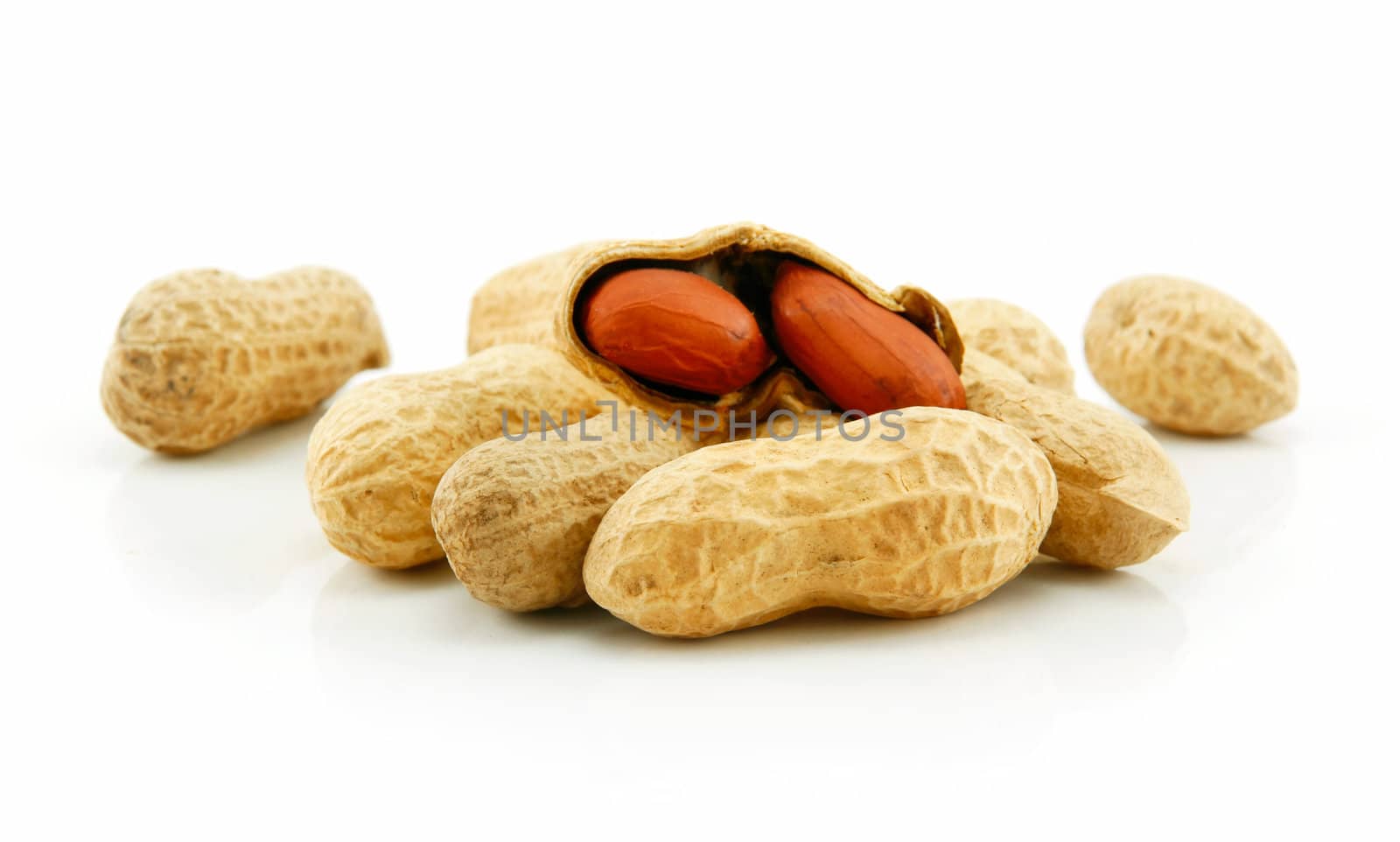 Ripe Dried Peanut Isolated on White Background