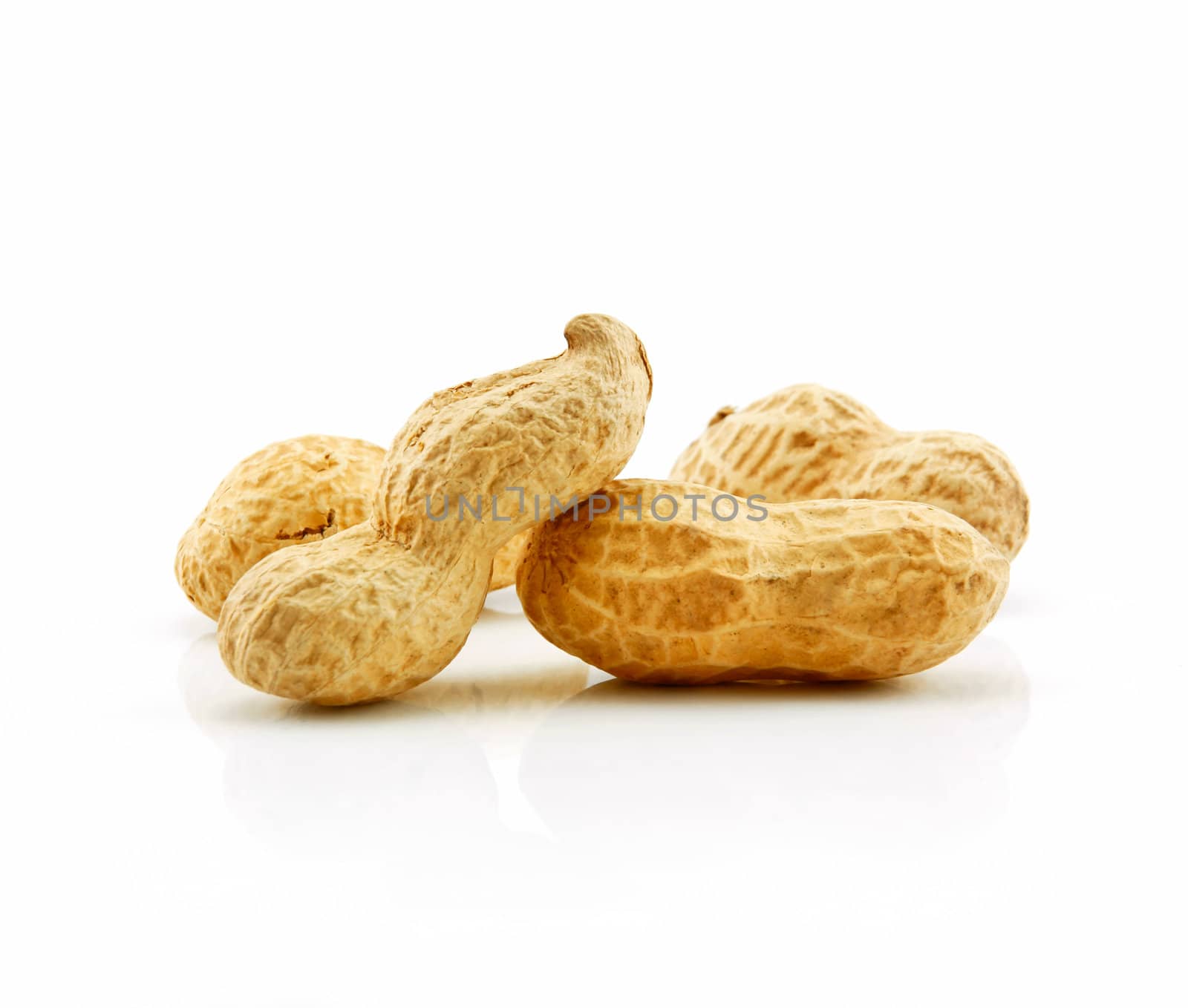 Ripe Dried Peanut Isolated on White Background