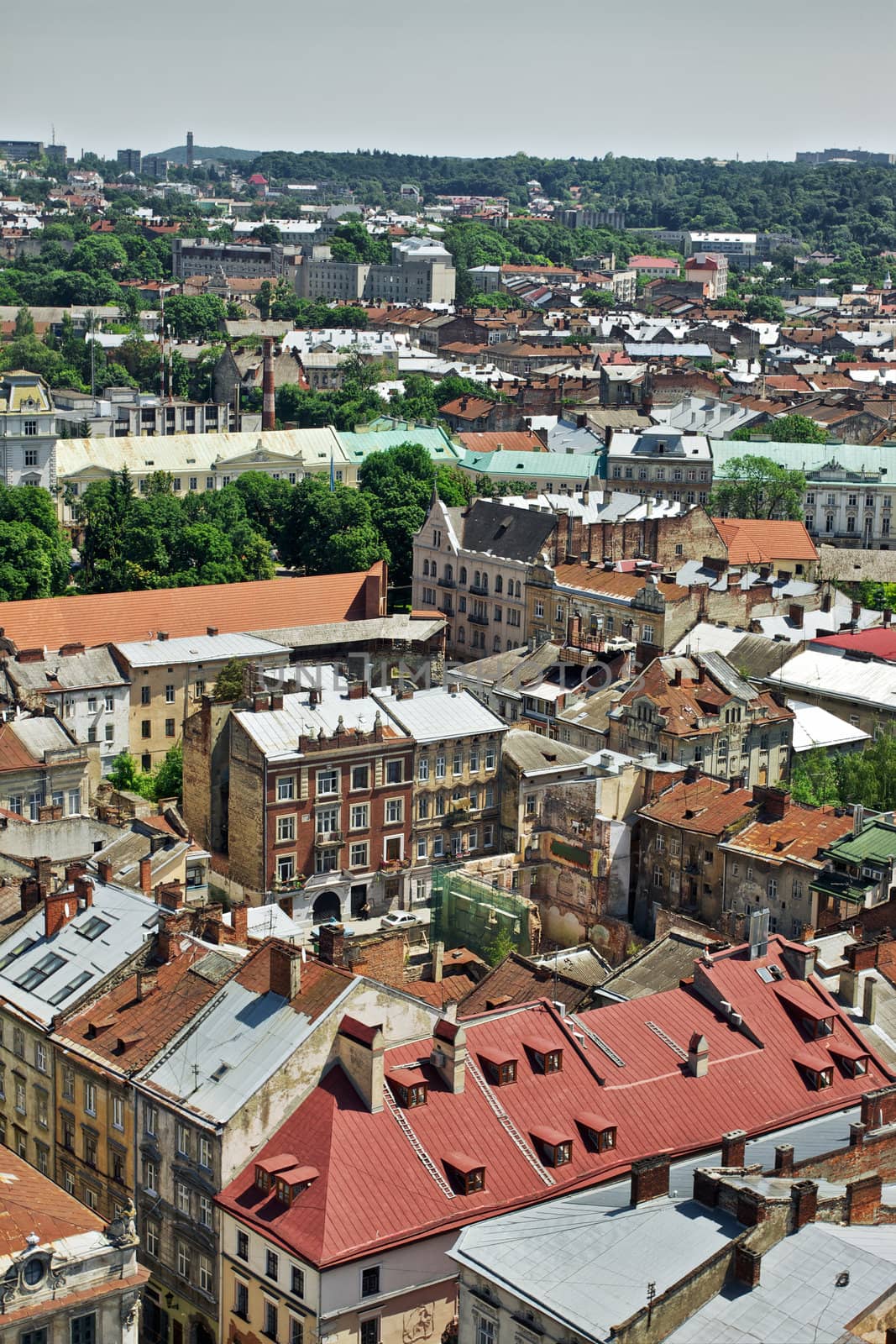 lviv at summer, view from City Hall