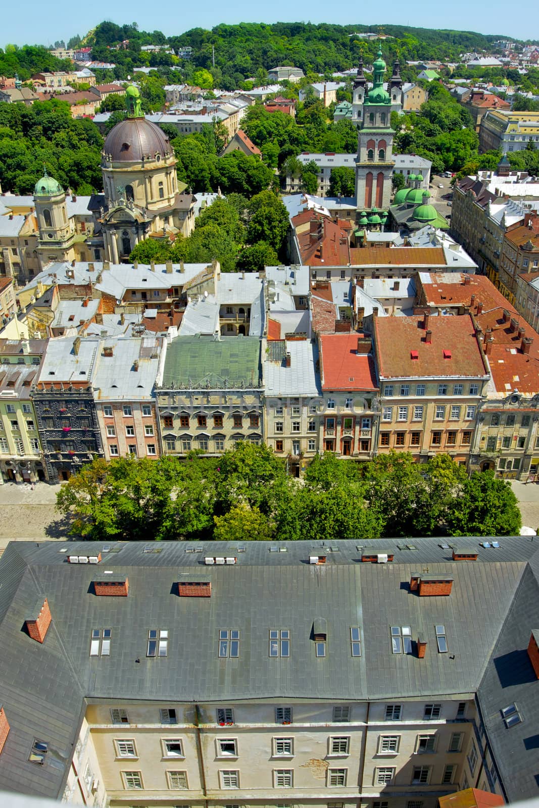 lviv at summer, view from City Hall