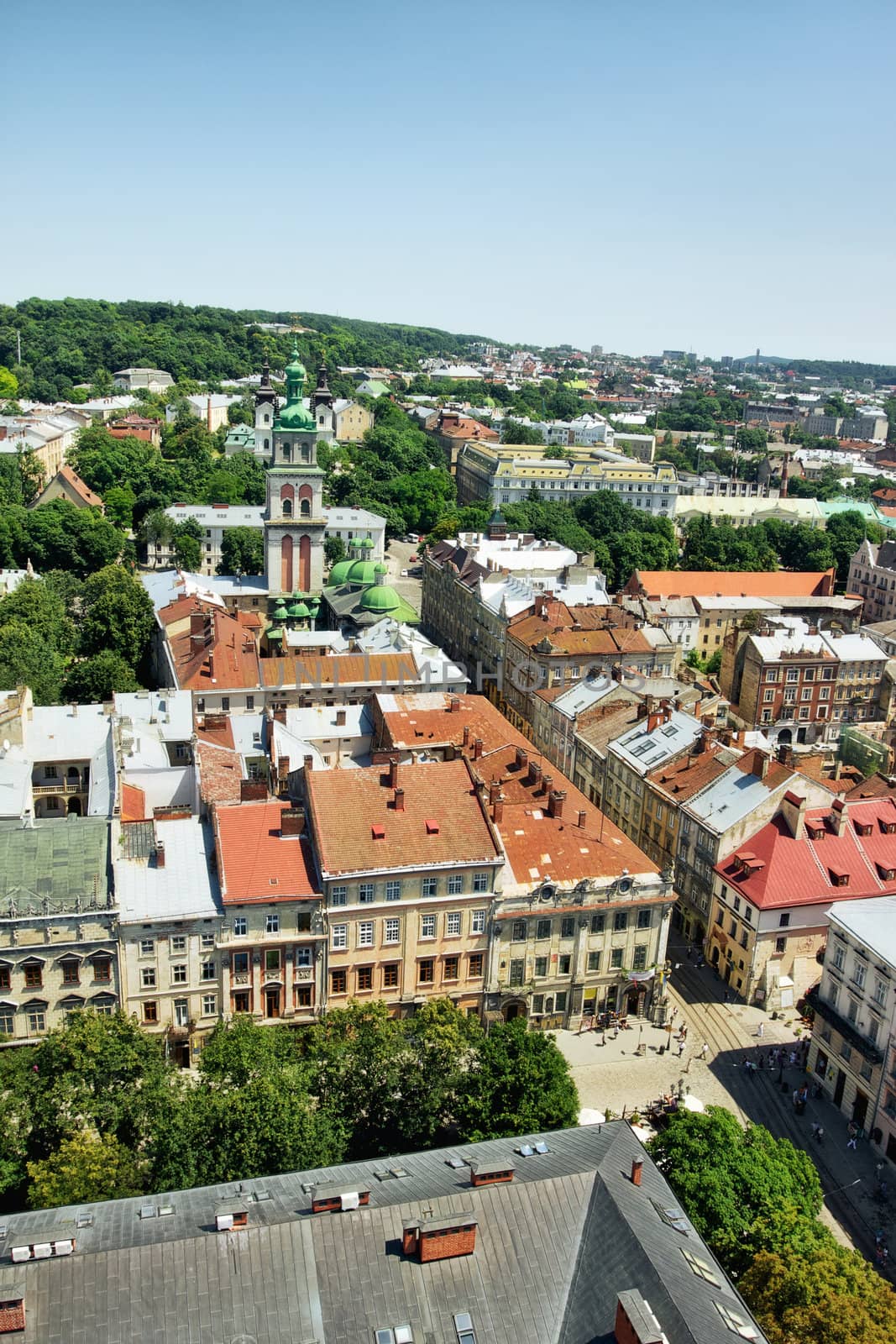 lviv at summer, view from City Hall