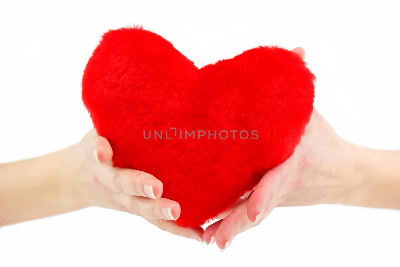 Close-up of red wooden heart in female hands showing it (isolated)