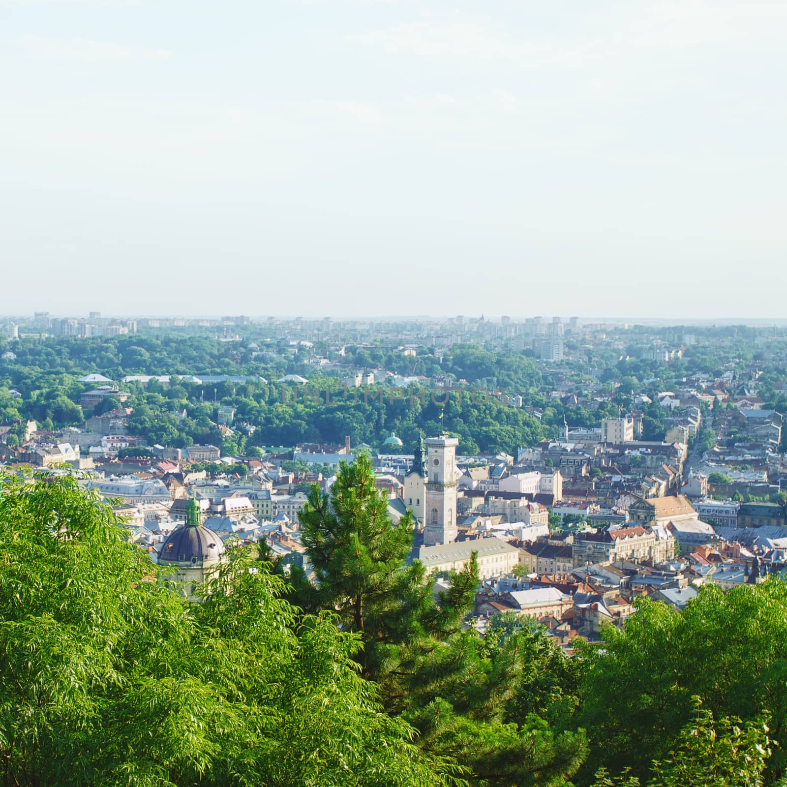 lviv at summer, view from City Hall