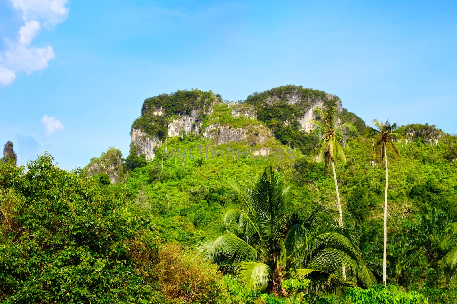 mountains with green trees in Krabi, Thailand