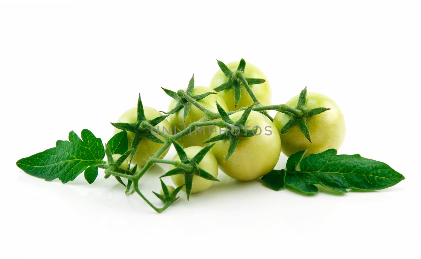 Bunch of Ripe Yellow Tomatoes with Green Leaf Isolated on White Background