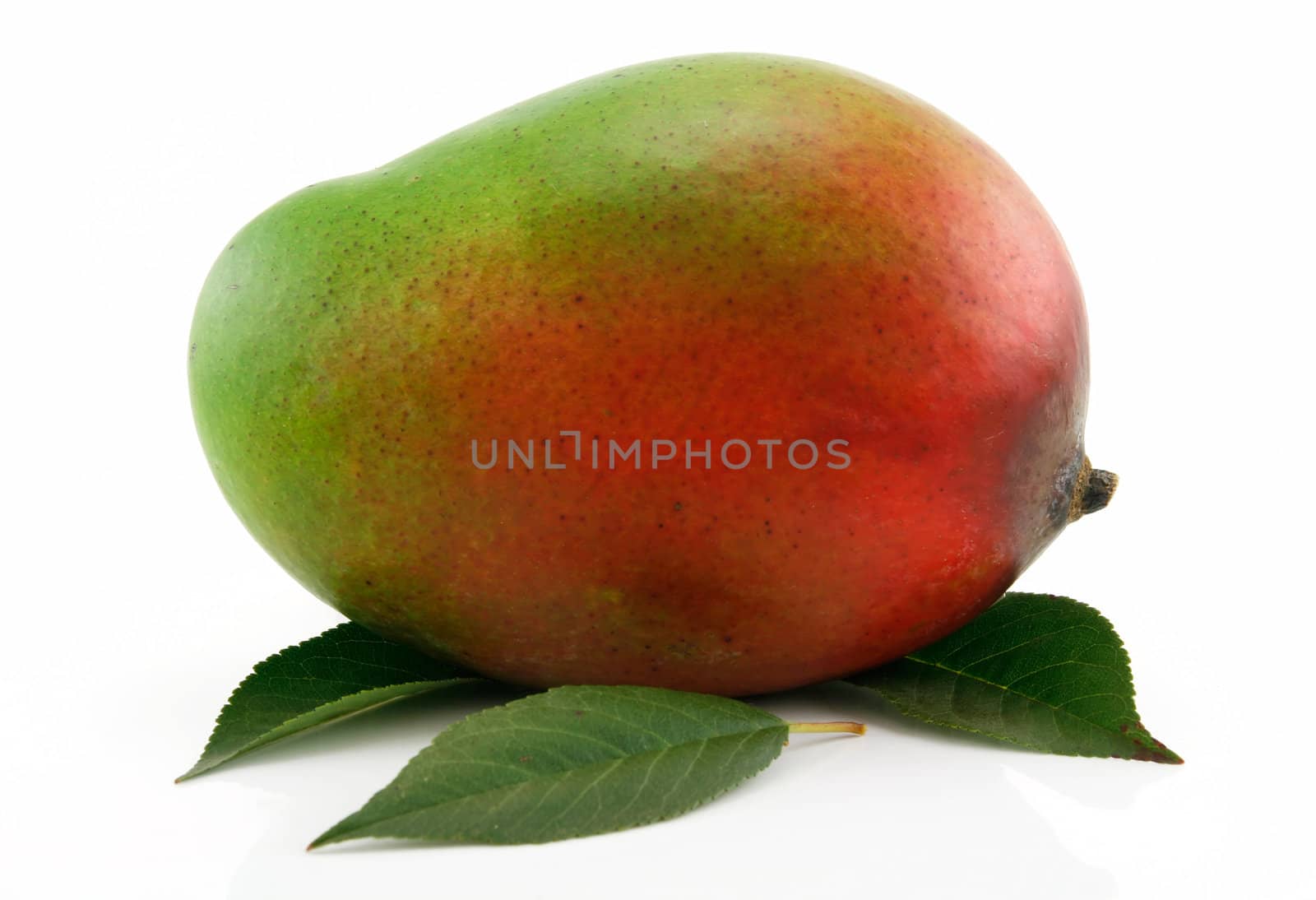 Ripe Mango Fruit with Green Leafs Isolated on White by alphacell