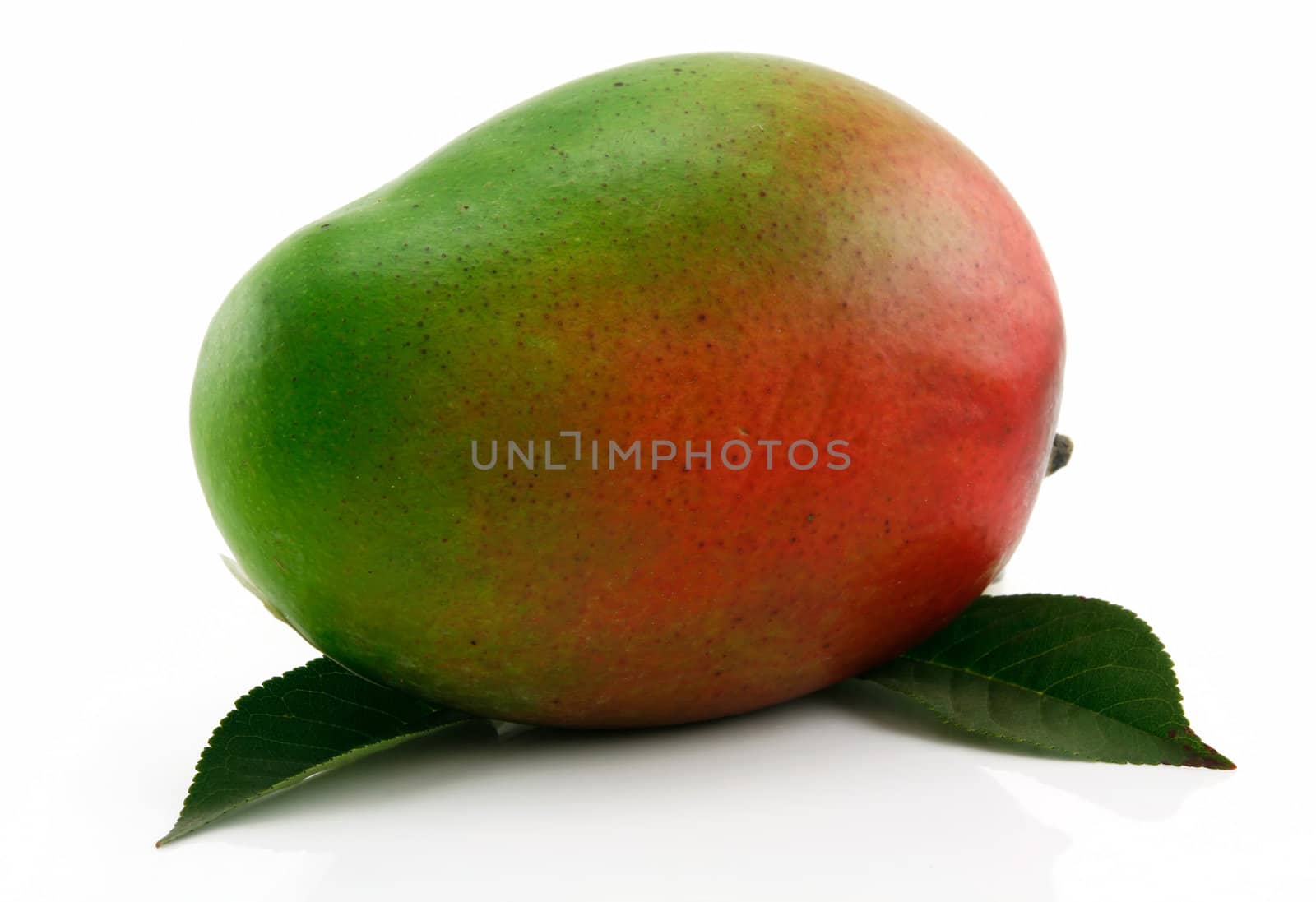 Ripe Mango Fruit with Green Leafs Isolated on White Background