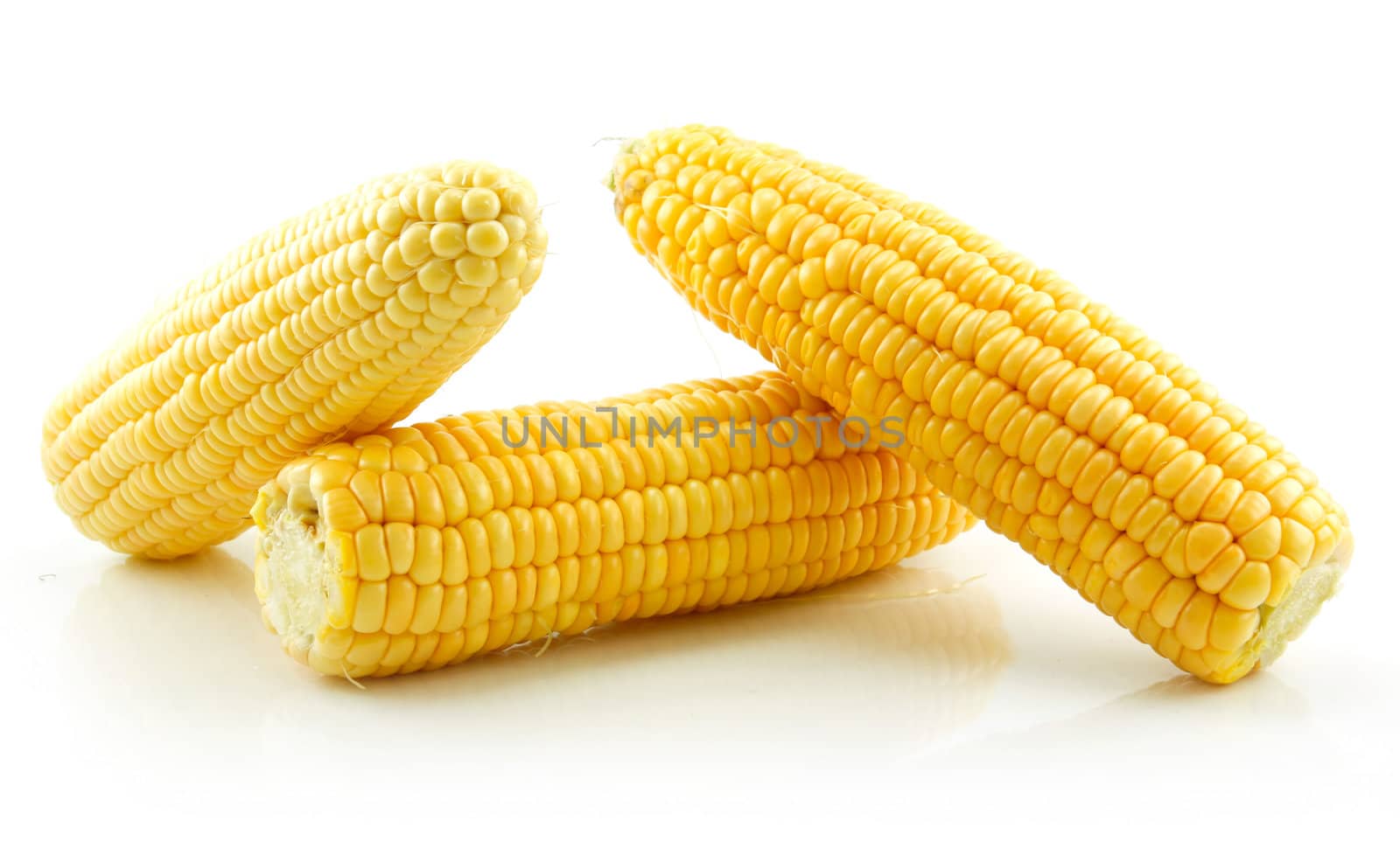 Ripe Yellow Corn Isolated on White Background