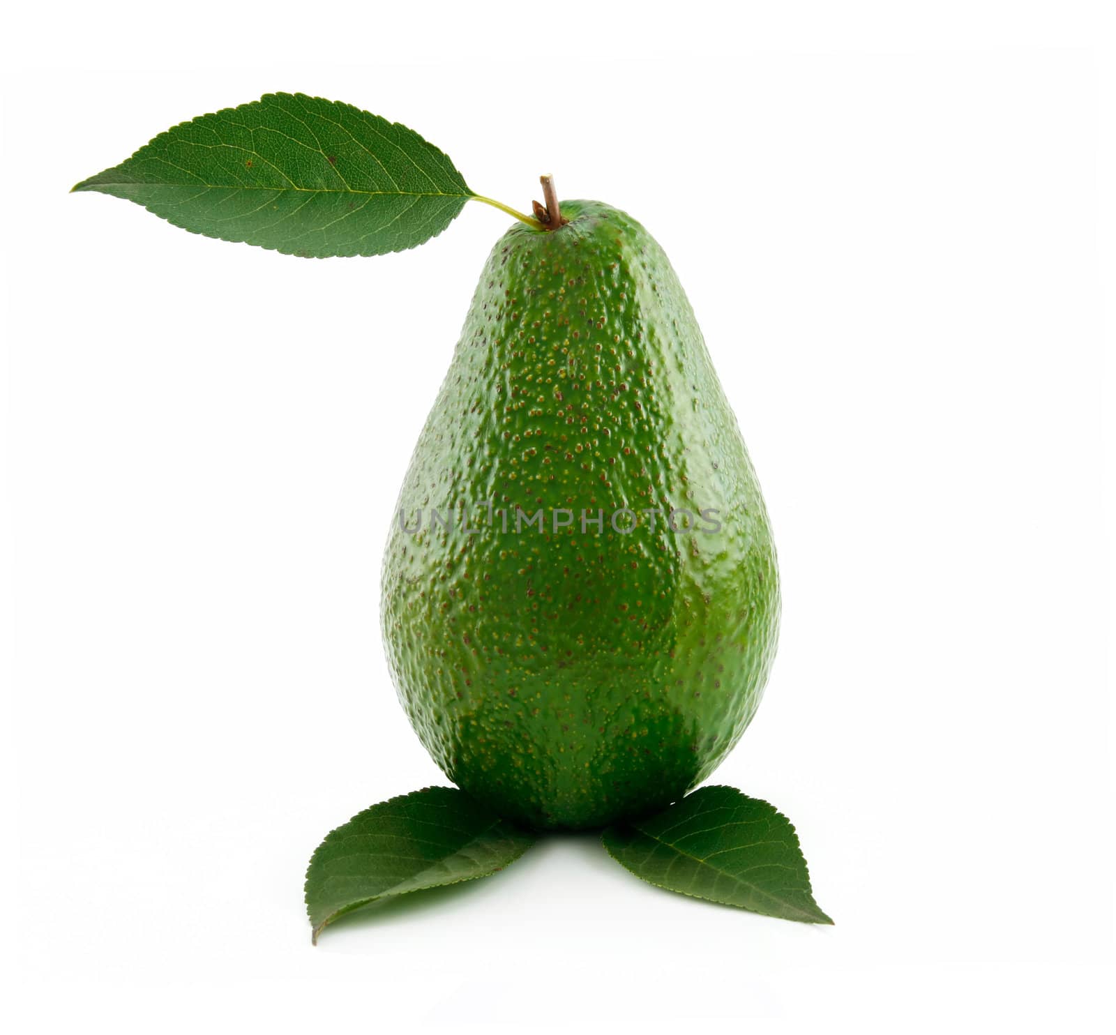 Ripe Avocado With Green Leaf Isolated on White Background